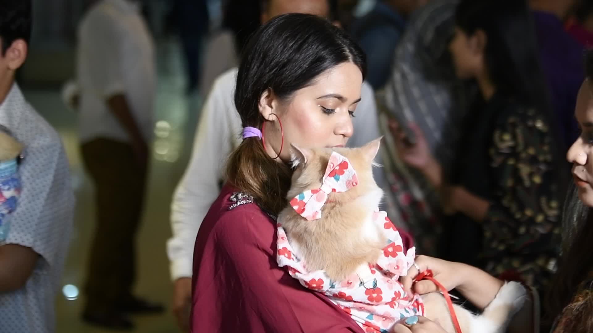 Cat Ramp Show In Dhaka