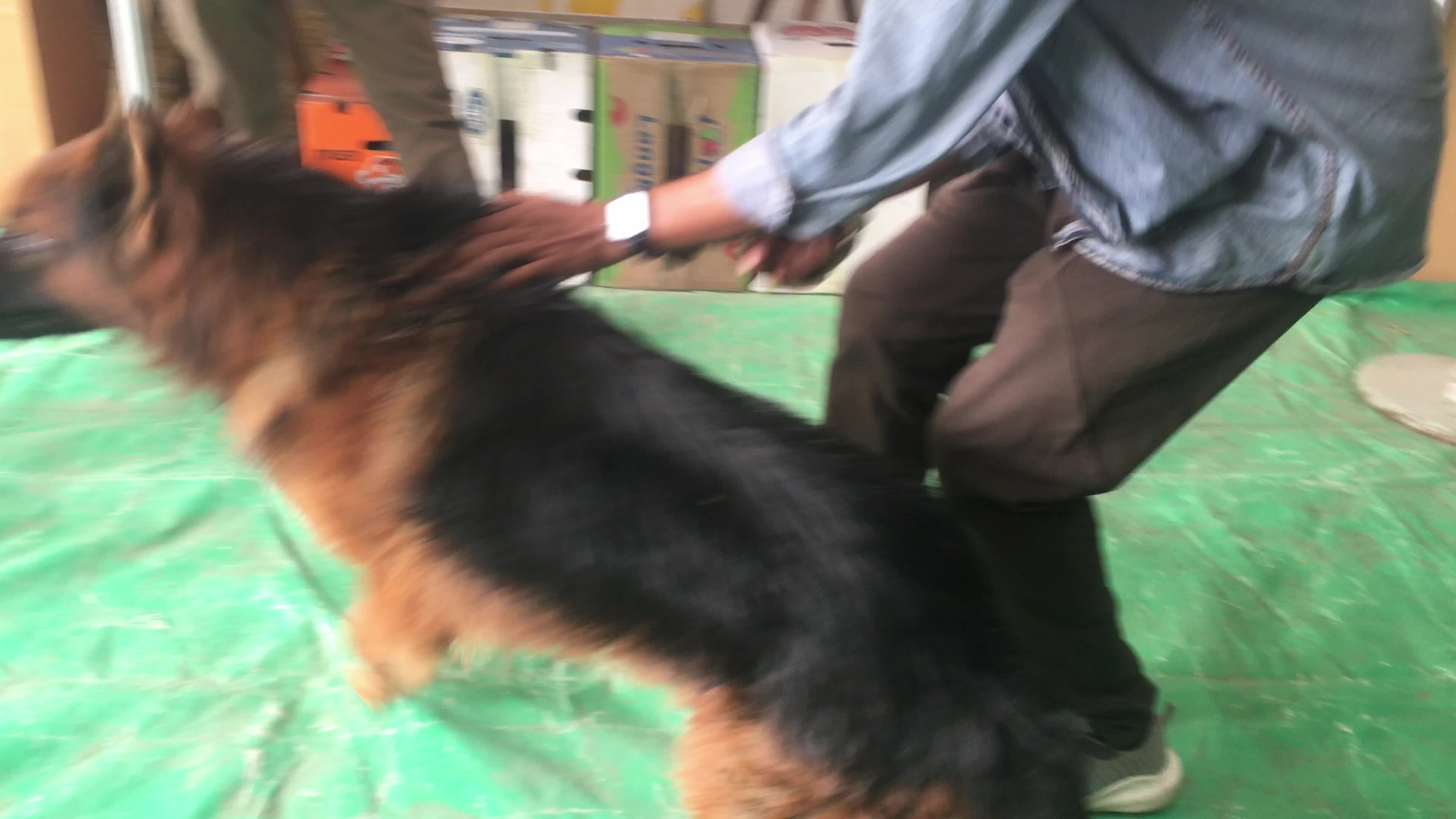 Animal Exhibition In Dhaka
