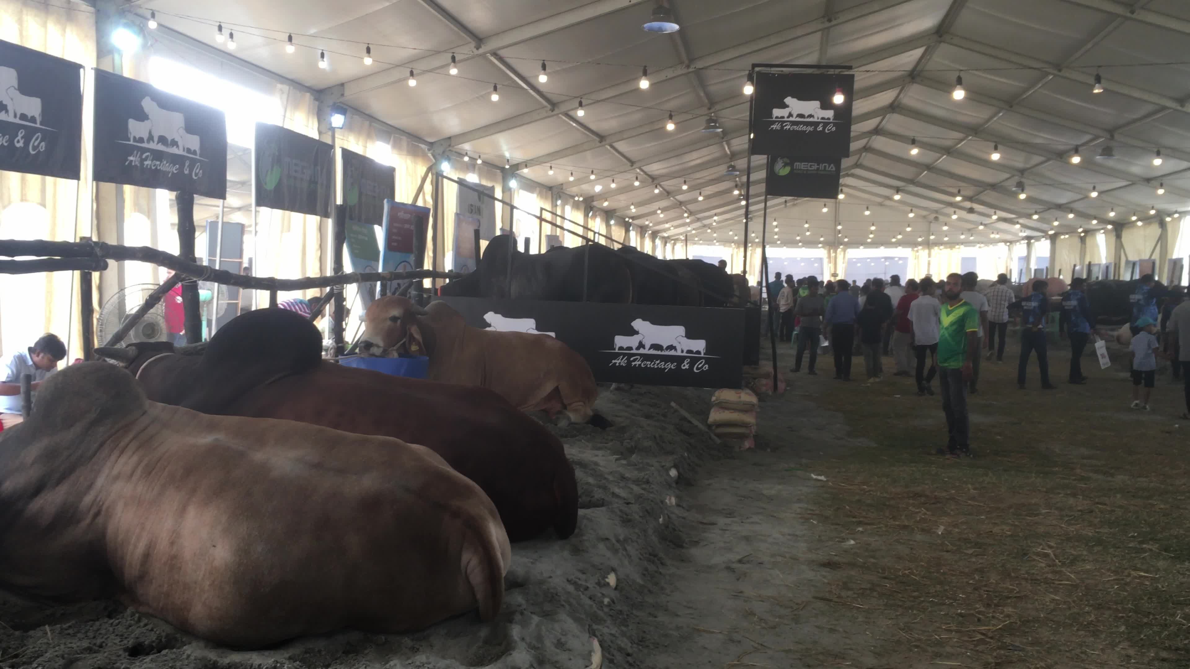 Animal Exhibition In Dhaka
