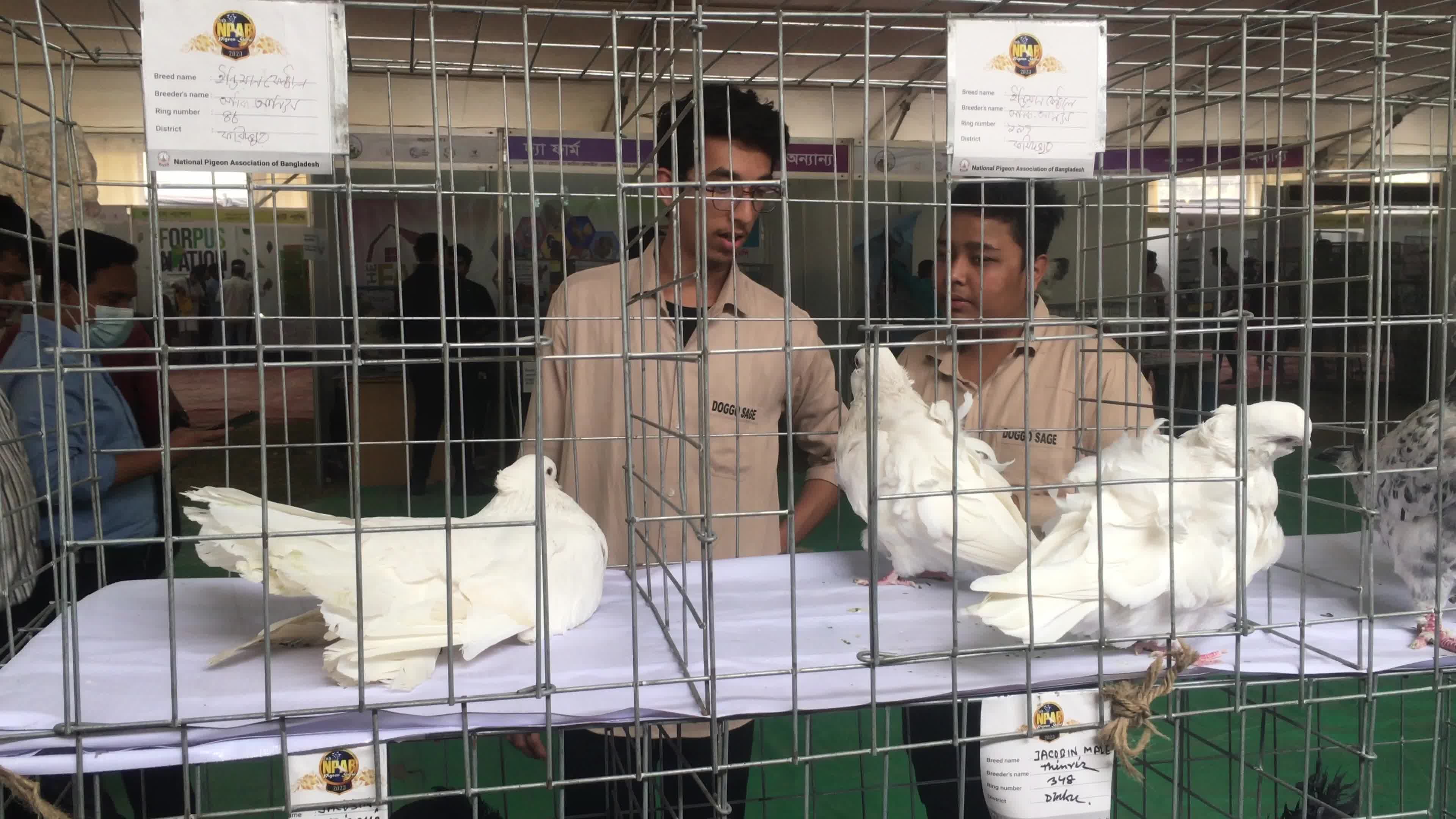 Animal Exhibition In Dhaka