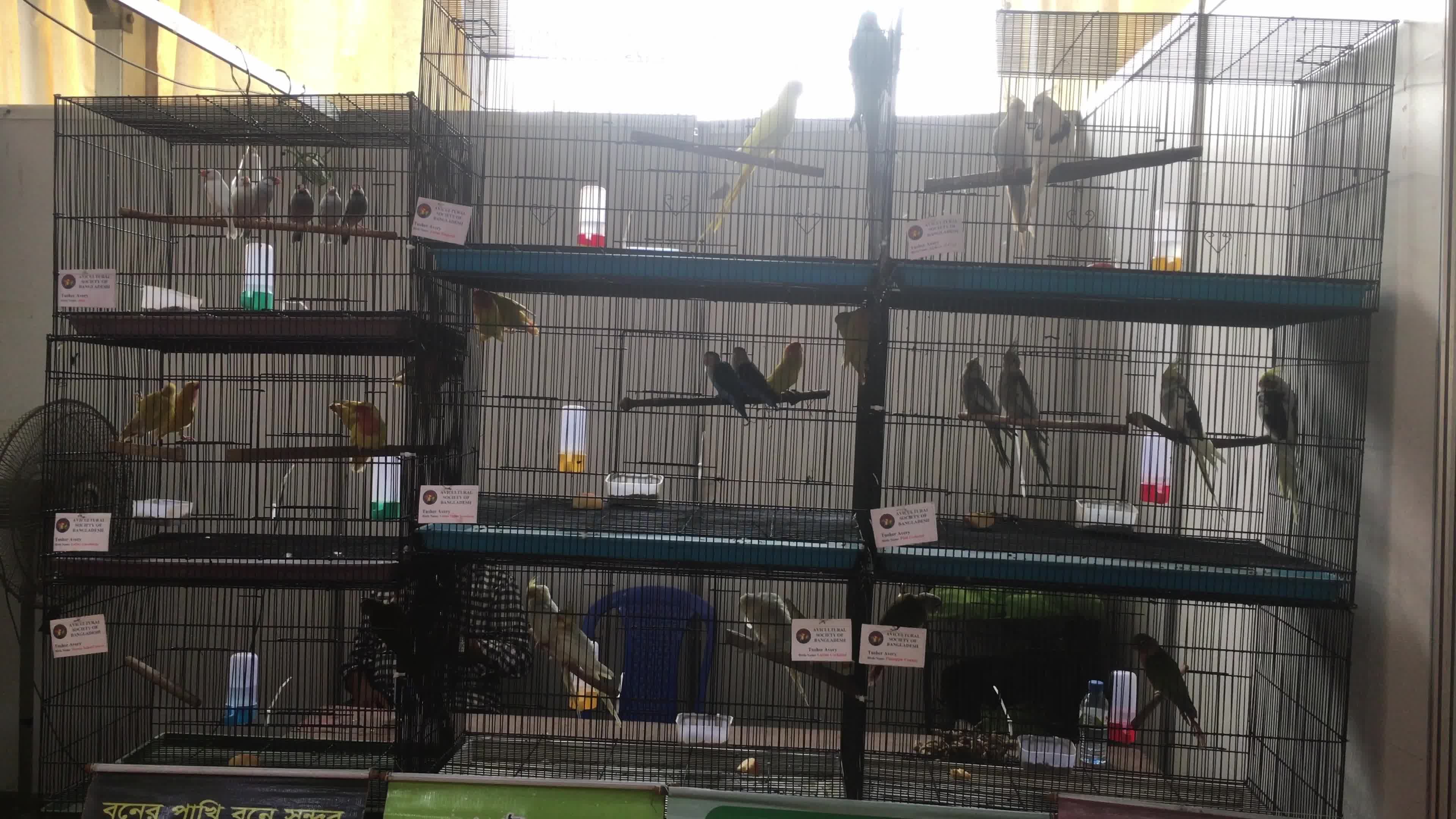 Animal Exhibition In Dhaka