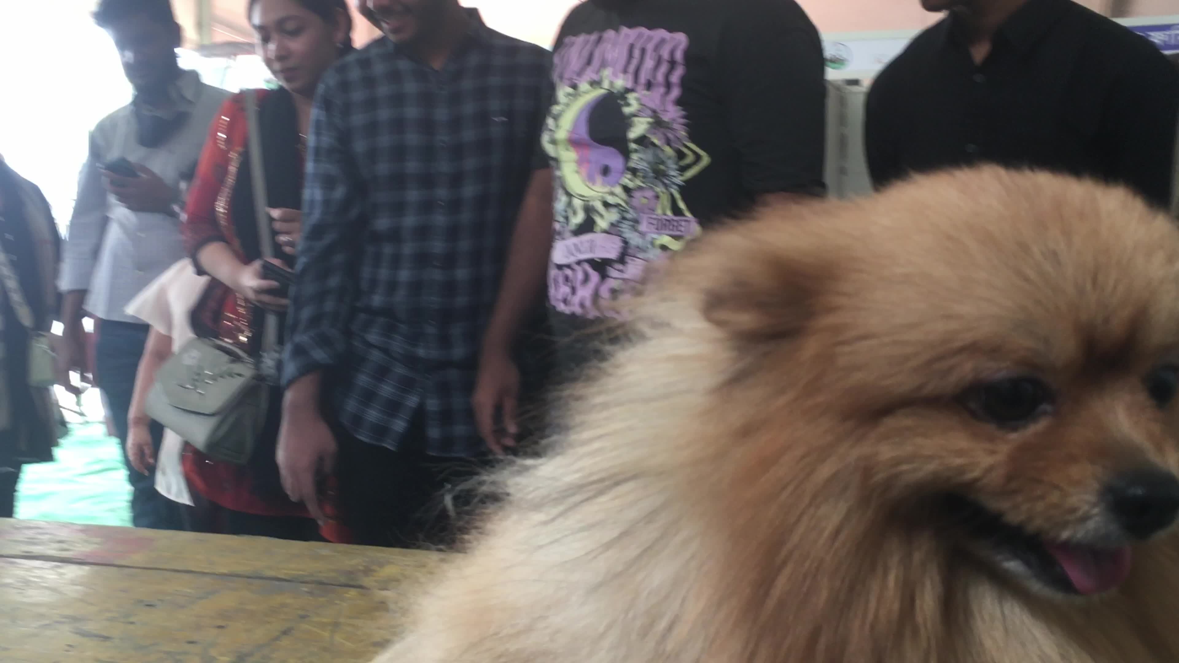 Animal Exhibition In Dhaka