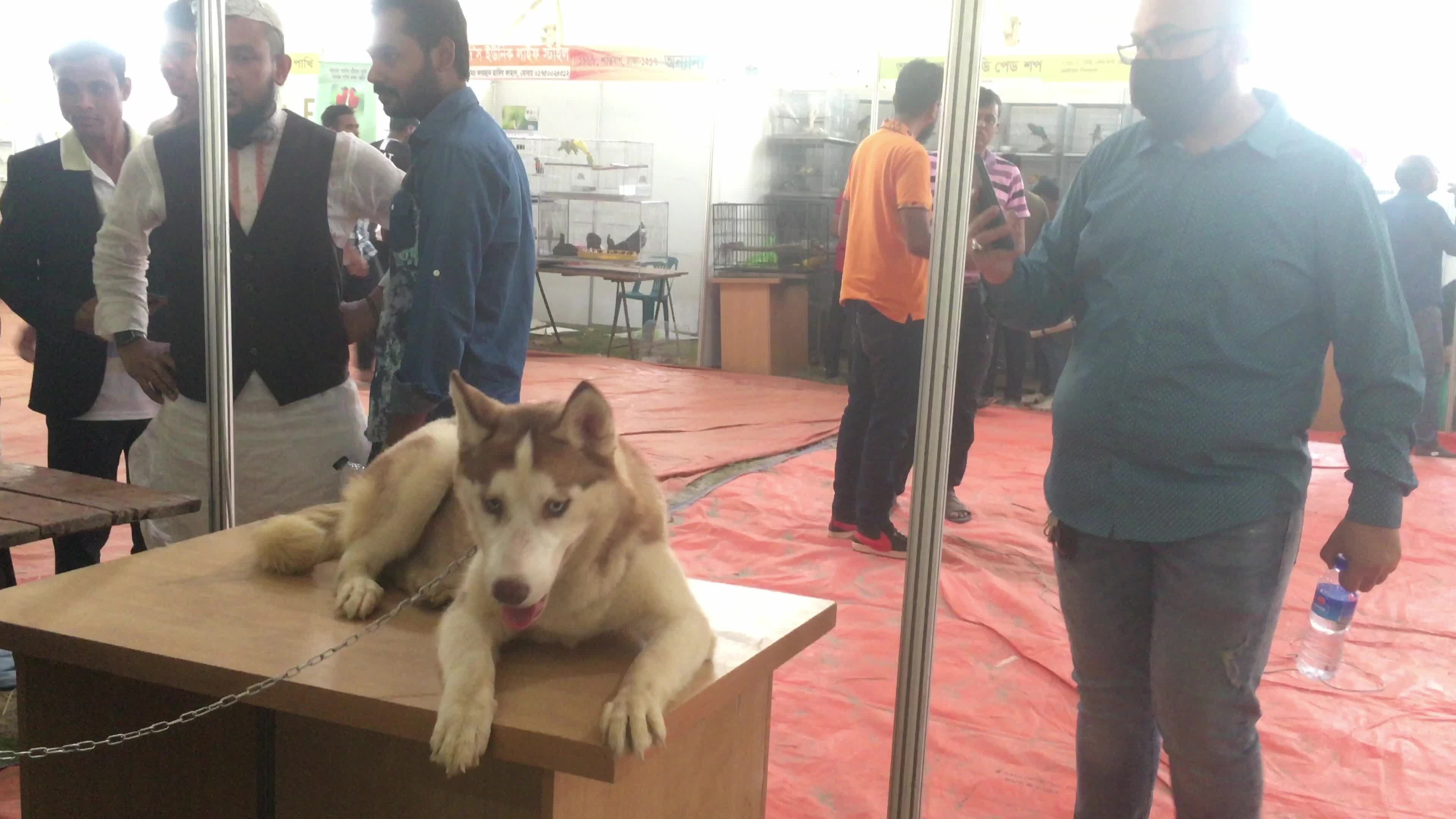 Animal Exhibition In Dhaka