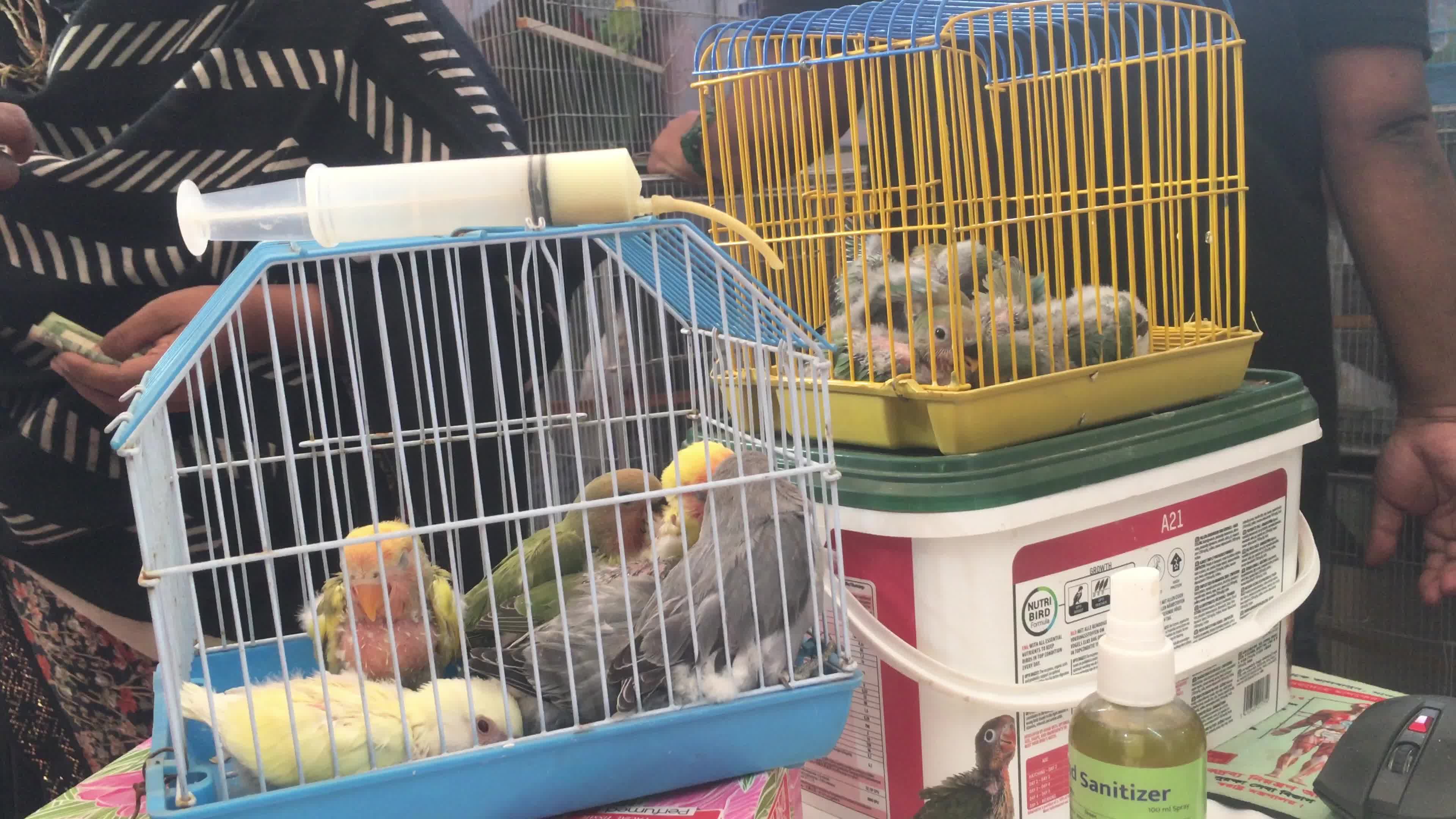 Animal Exhibition In Dhaka