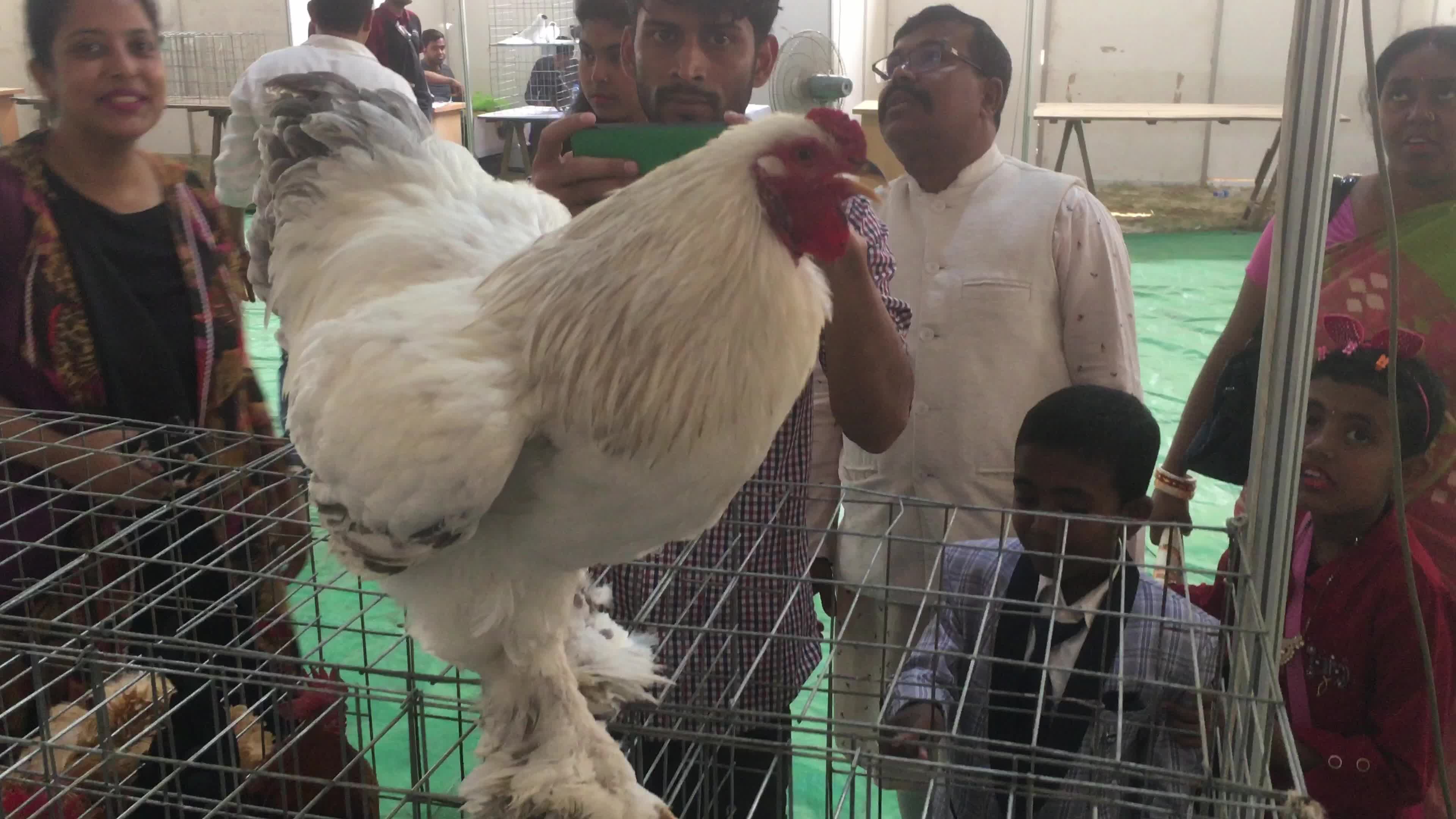 Animal Exhibition In Dhaka