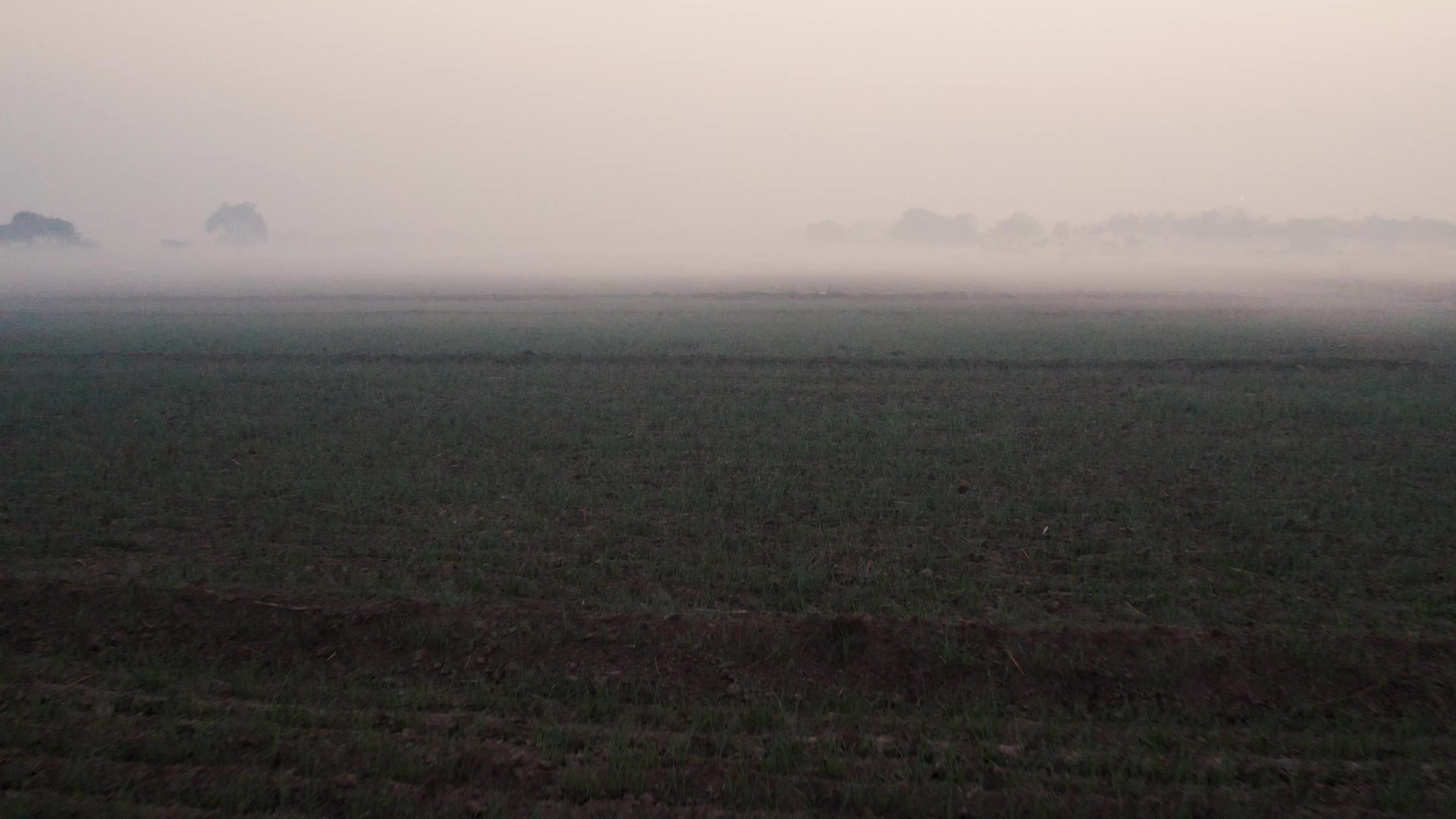 Aerial Video of empty fields on a winter foggy morning.