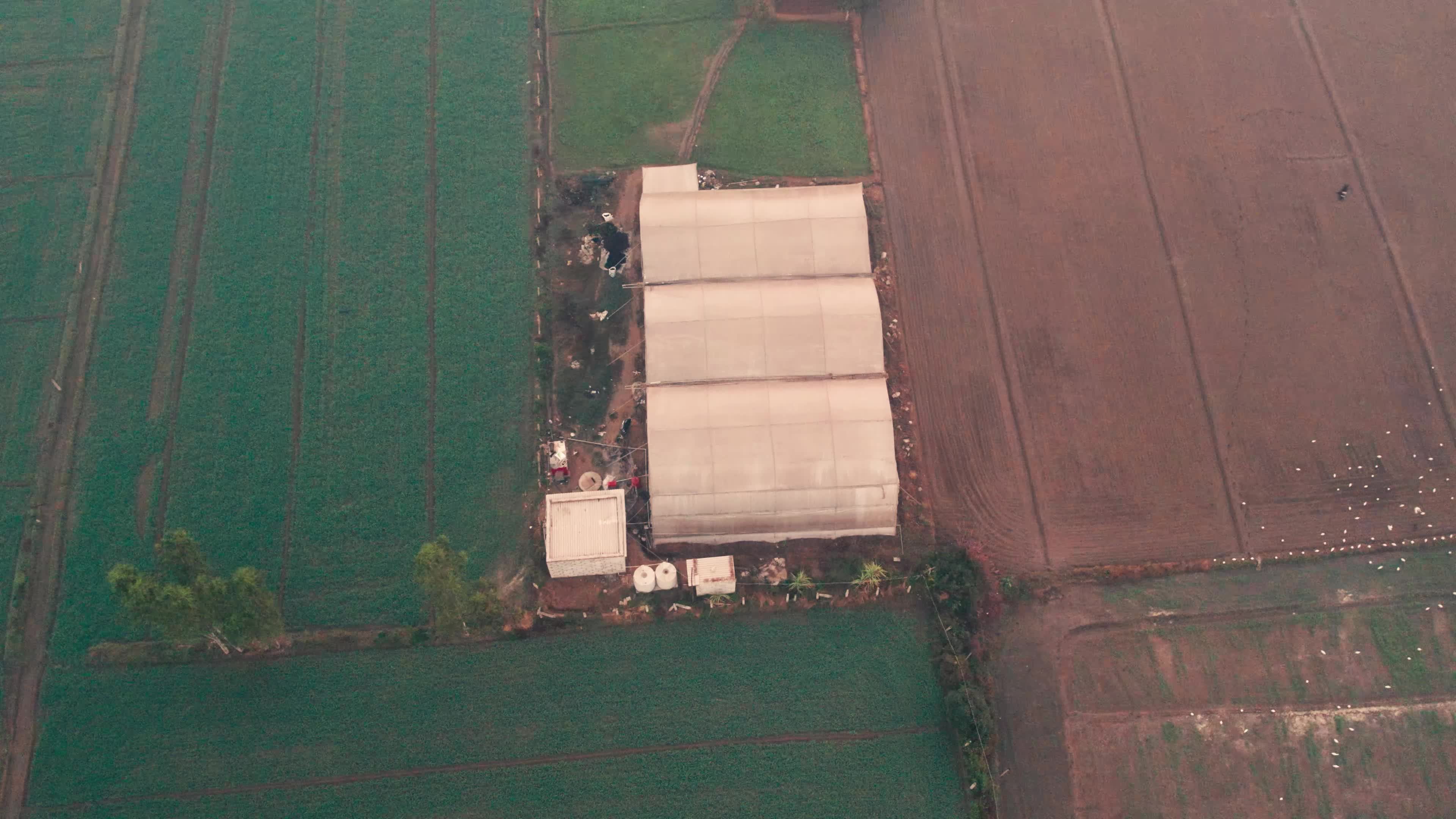 Drone video of a plastic Greenhouse made in the fields near the outskirts of New Delhi.