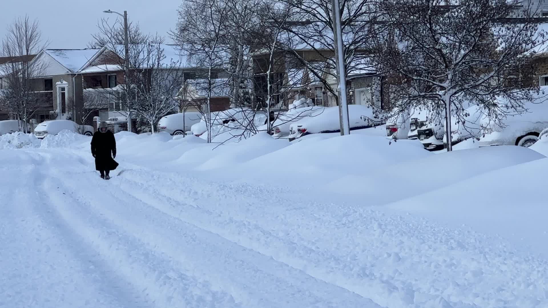 Toronto gets hit by the largest winter snowstorm of the season