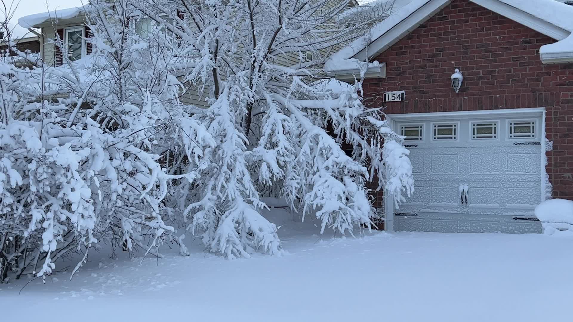 Toronto gets hit by the largest winter snowstorm of the season