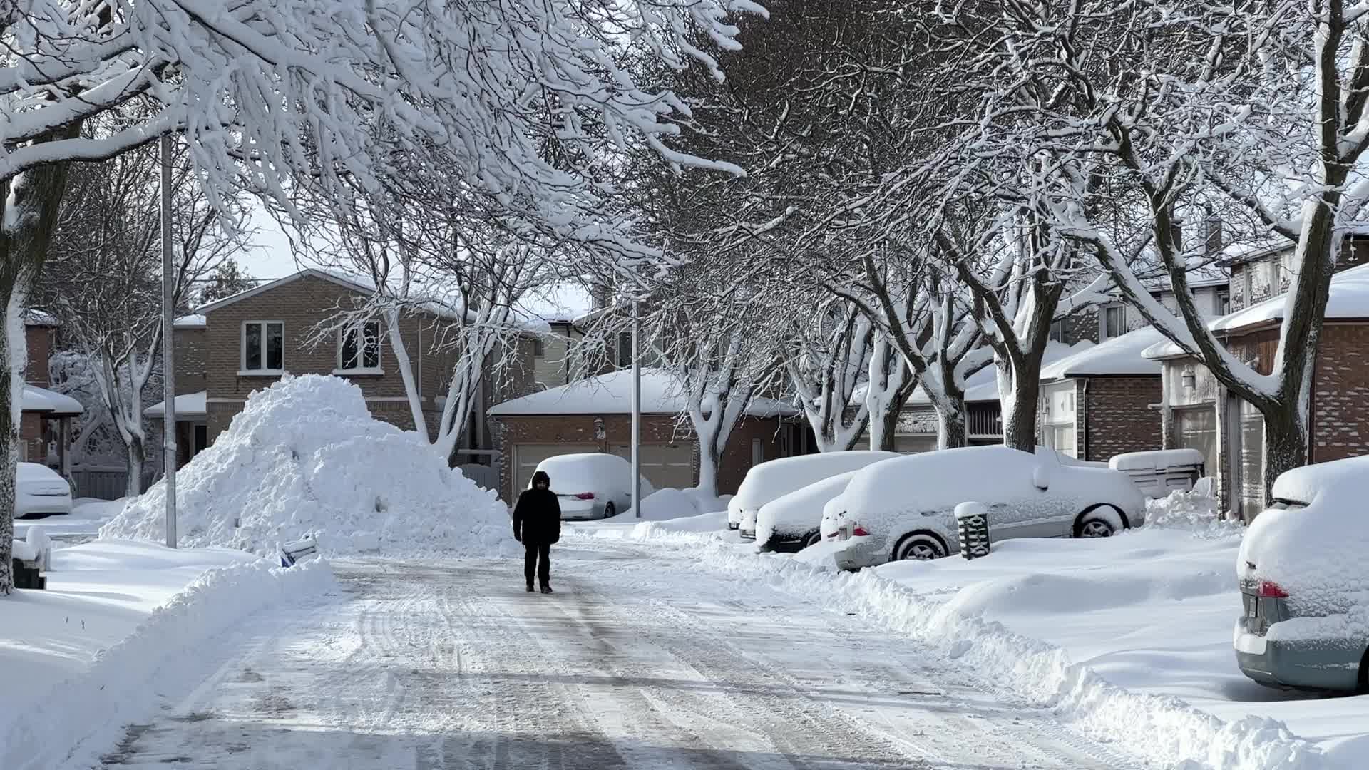Toronto gets hit by the largest winter snowstorm of the season