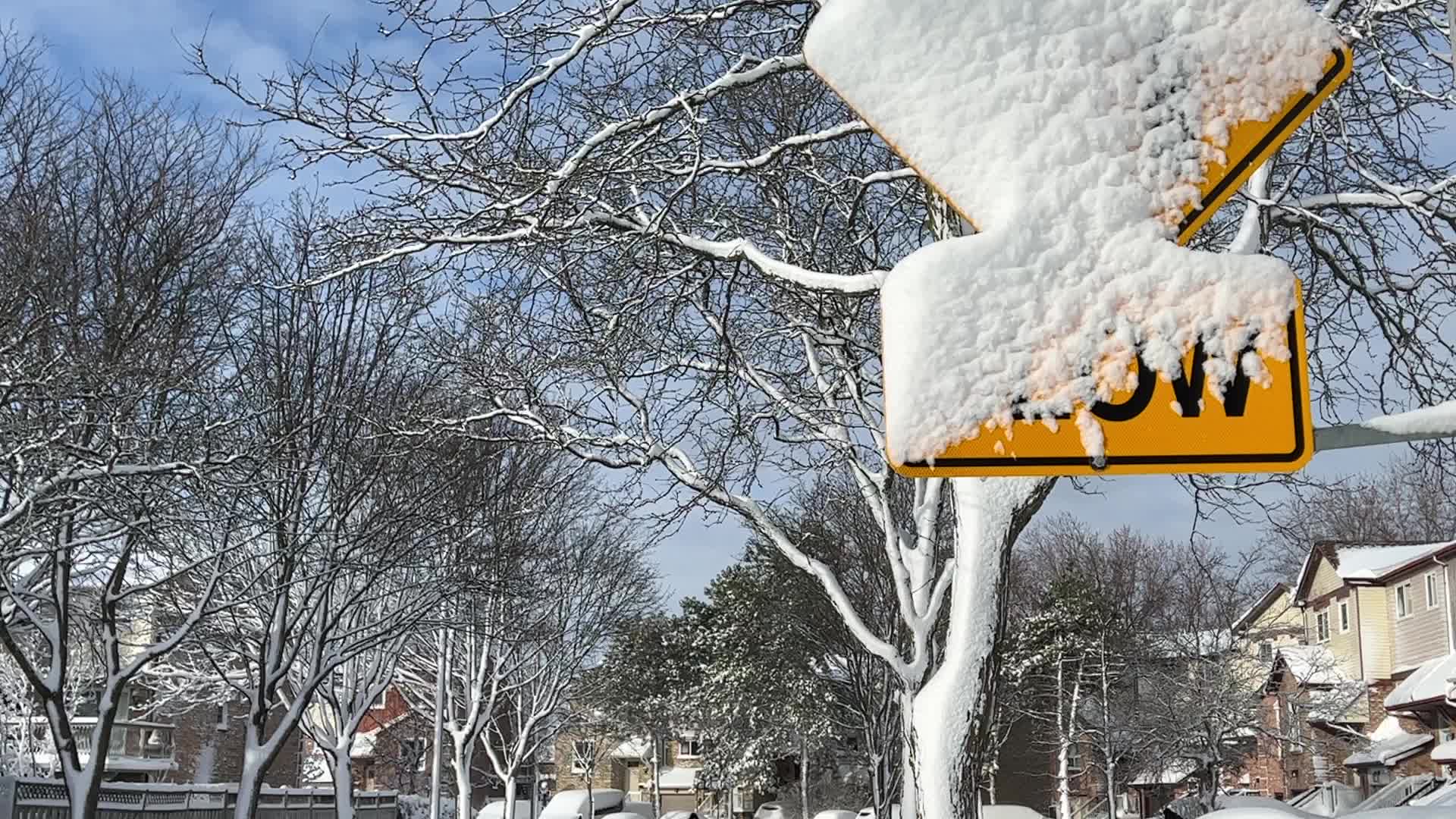 Toronto gets hit by the largest winter snowstorm of the season