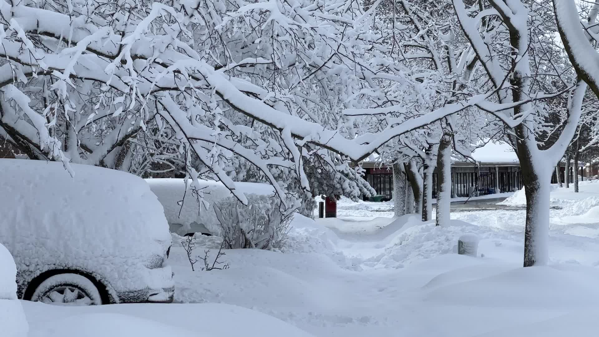 Toronto gets hit by the largest winter snowstorm of the season