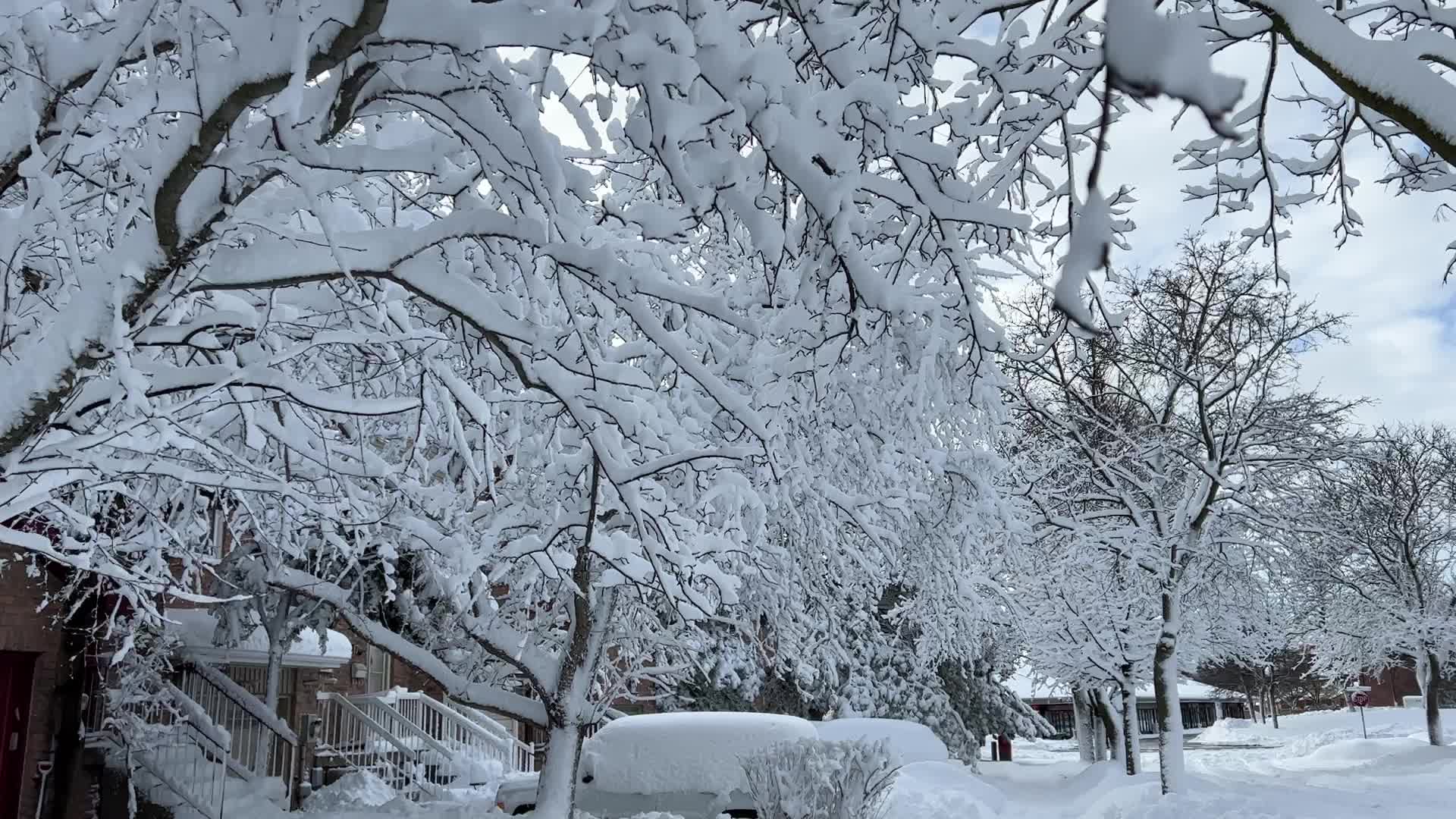 Toronto gets hit by the largest winter snowstorm of the season