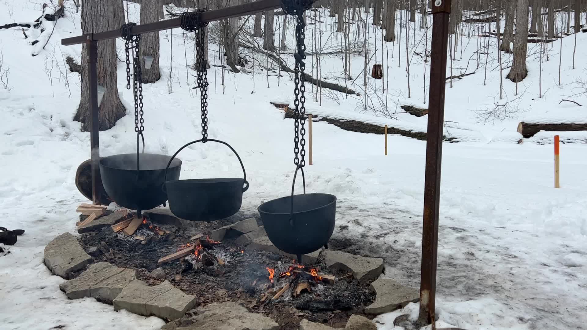 Maple syrup production in Canada
