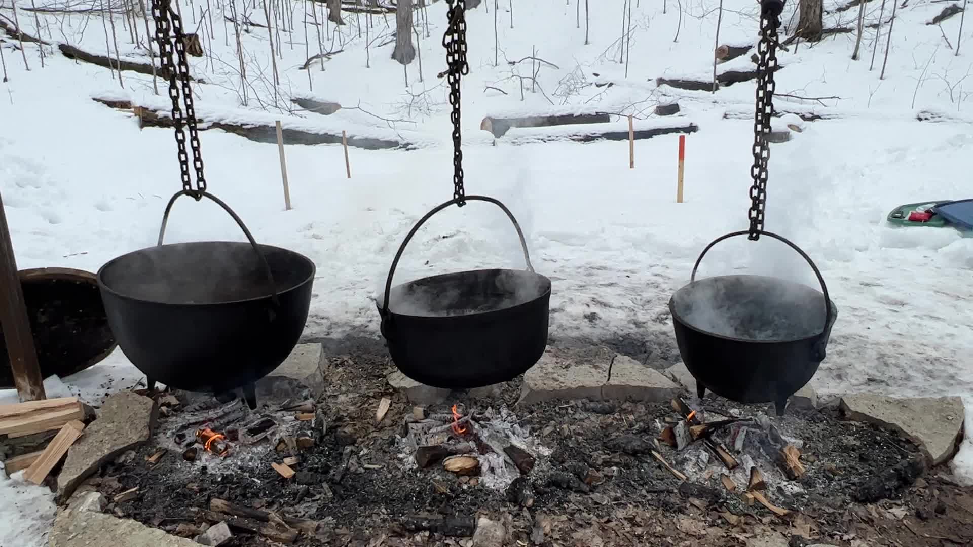 Maple syrup production in Canada