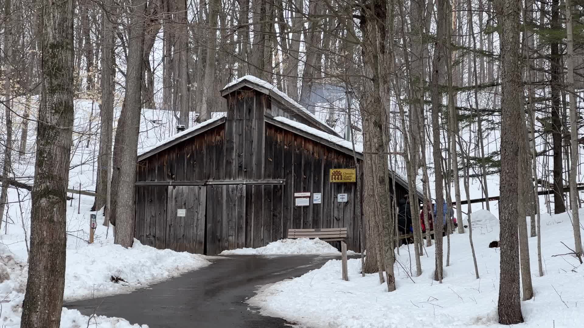 Maple syrup production in Canada