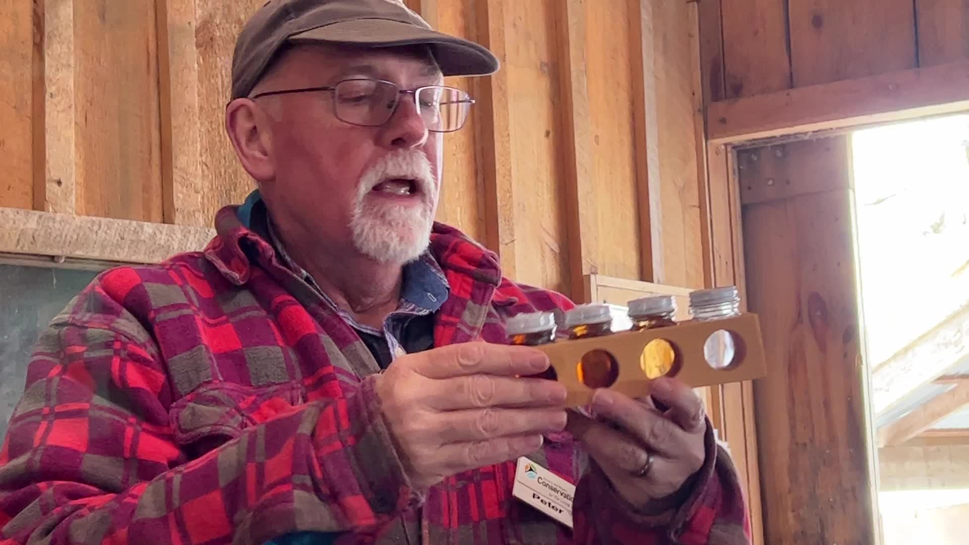 Maple syrup production in Canada