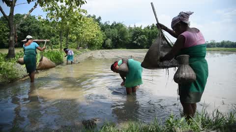 Tribal woman fishing