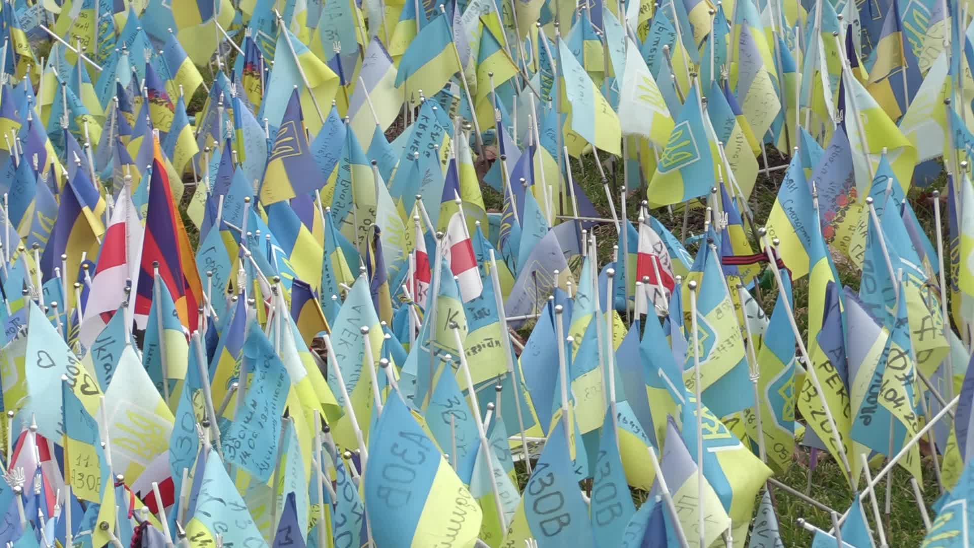 National flags in memory of fallen Ukrainian soldiers killed in battles against Russian troops placed in Kyiv, amid Russia's invasion of Ukraine