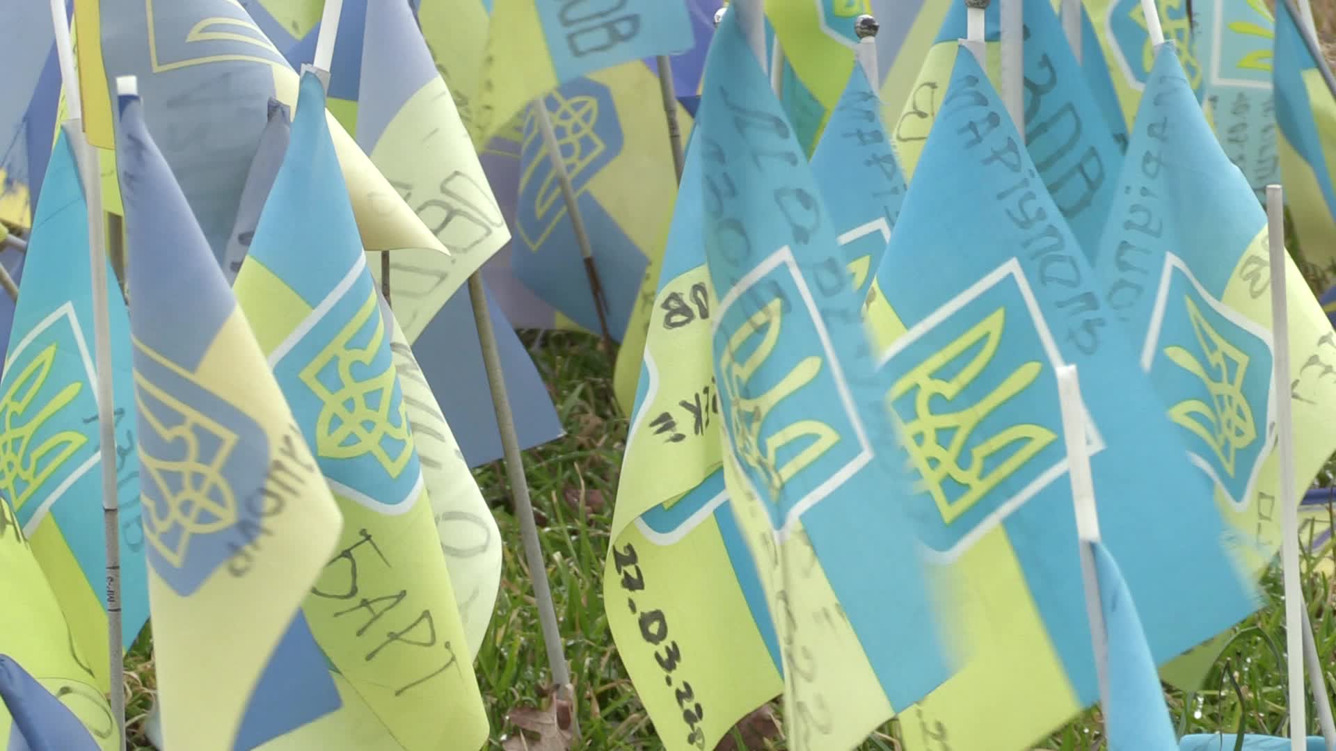 National flags in memory of fallen Ukrainian soldiers killed in battles against Russian troops placed in Kyiv, amid Russia's invasion of Ukraine