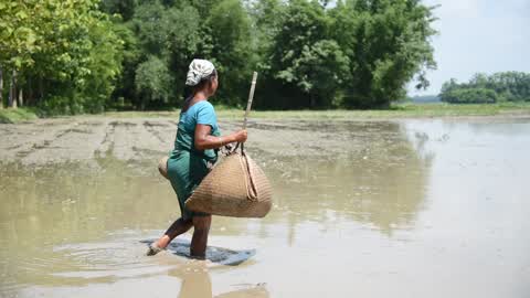 Tribal woman fishing