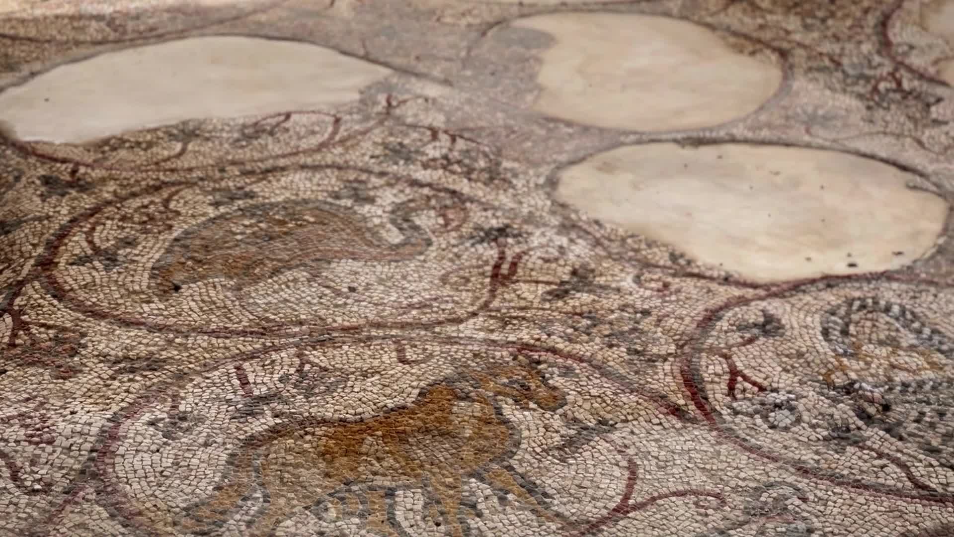 Archaeological site of Saint Hilarion In Gaza, Palestine
