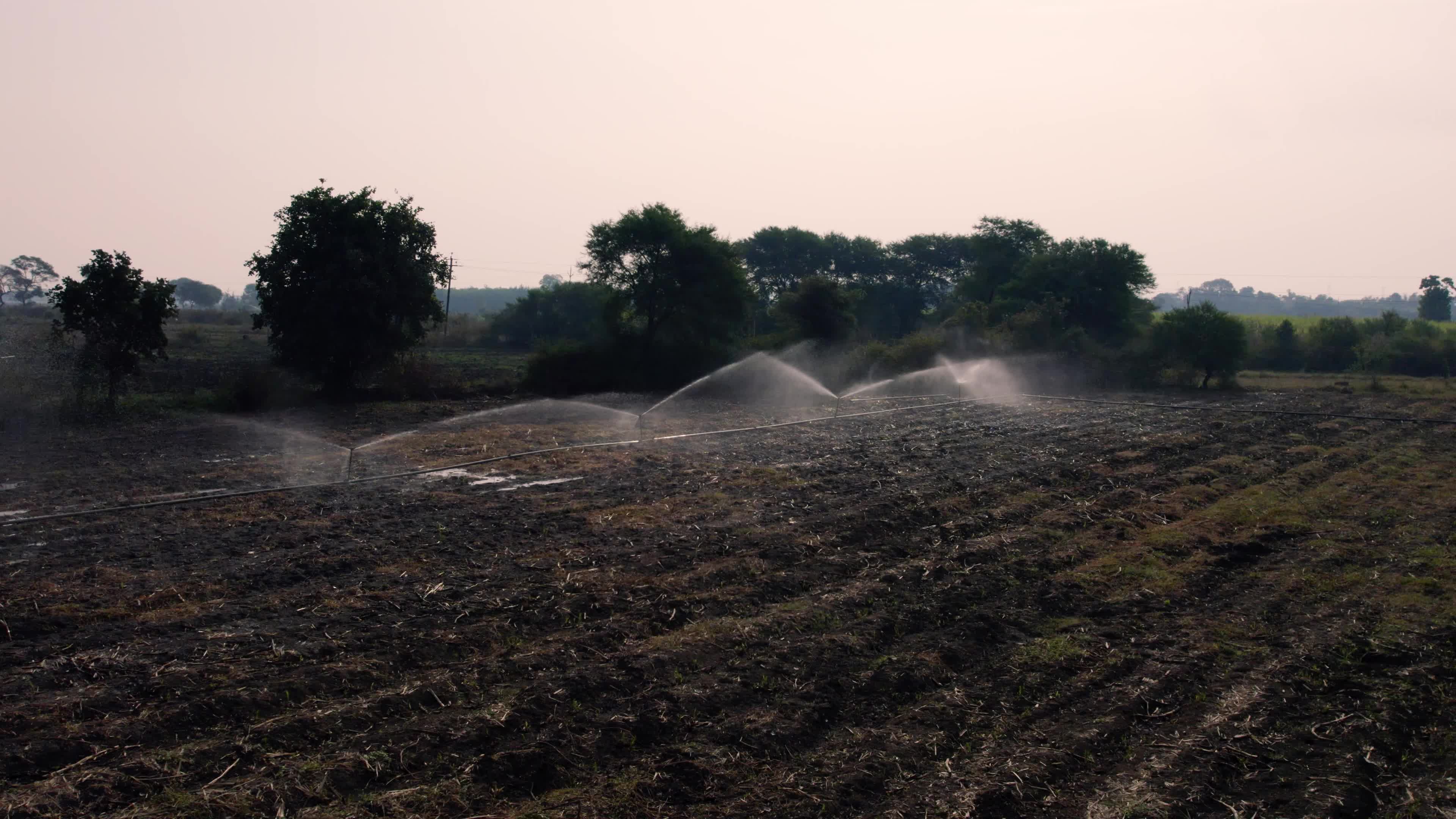 Burnt Farms & Water Sprinklers in the Indian state of Chhattisgarh (Date 12/12/2022)
