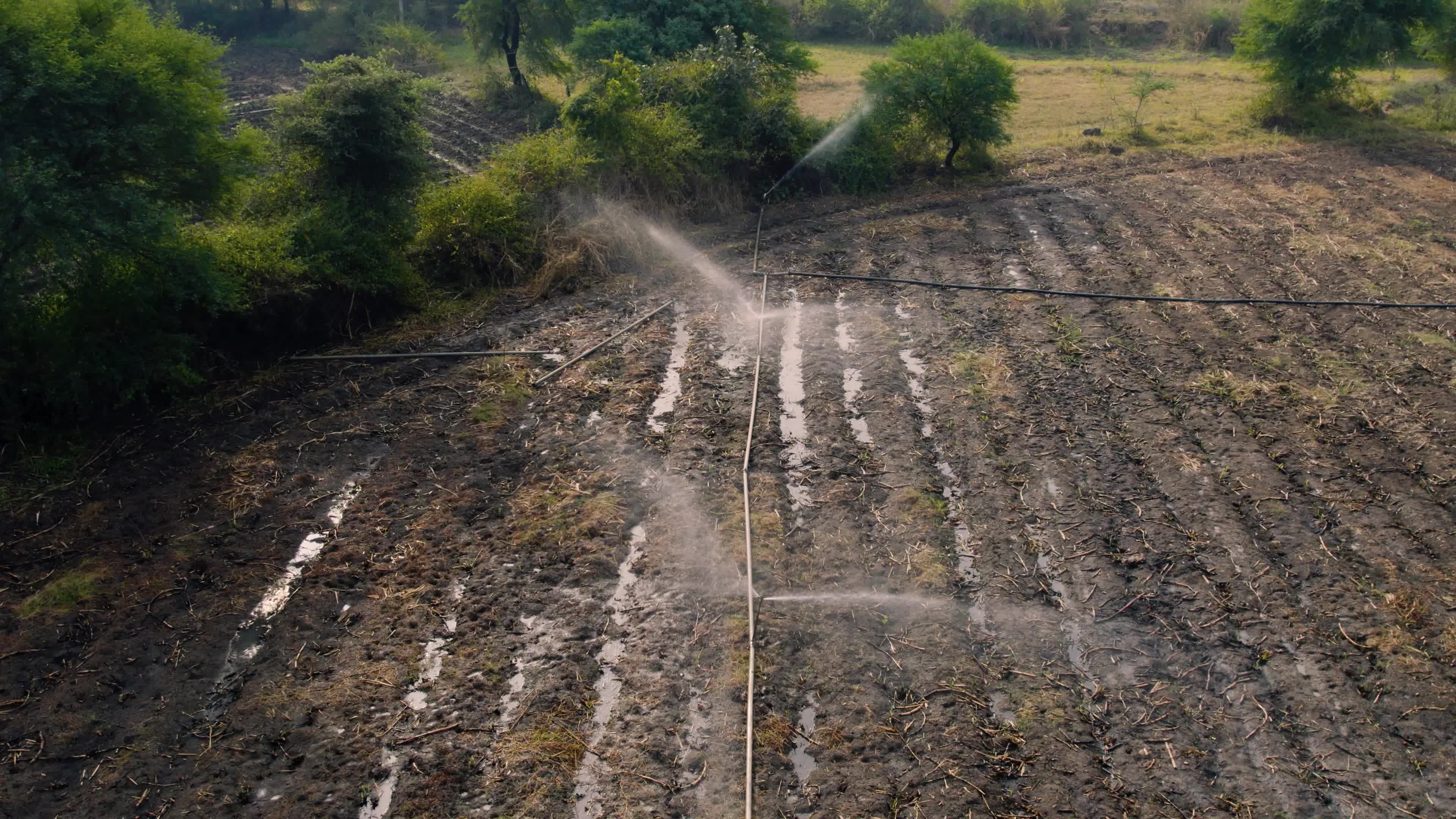 Burnt Farms & Water Sprinklers in the Indian state of Chhattisgarh (Date 12/12/2022)