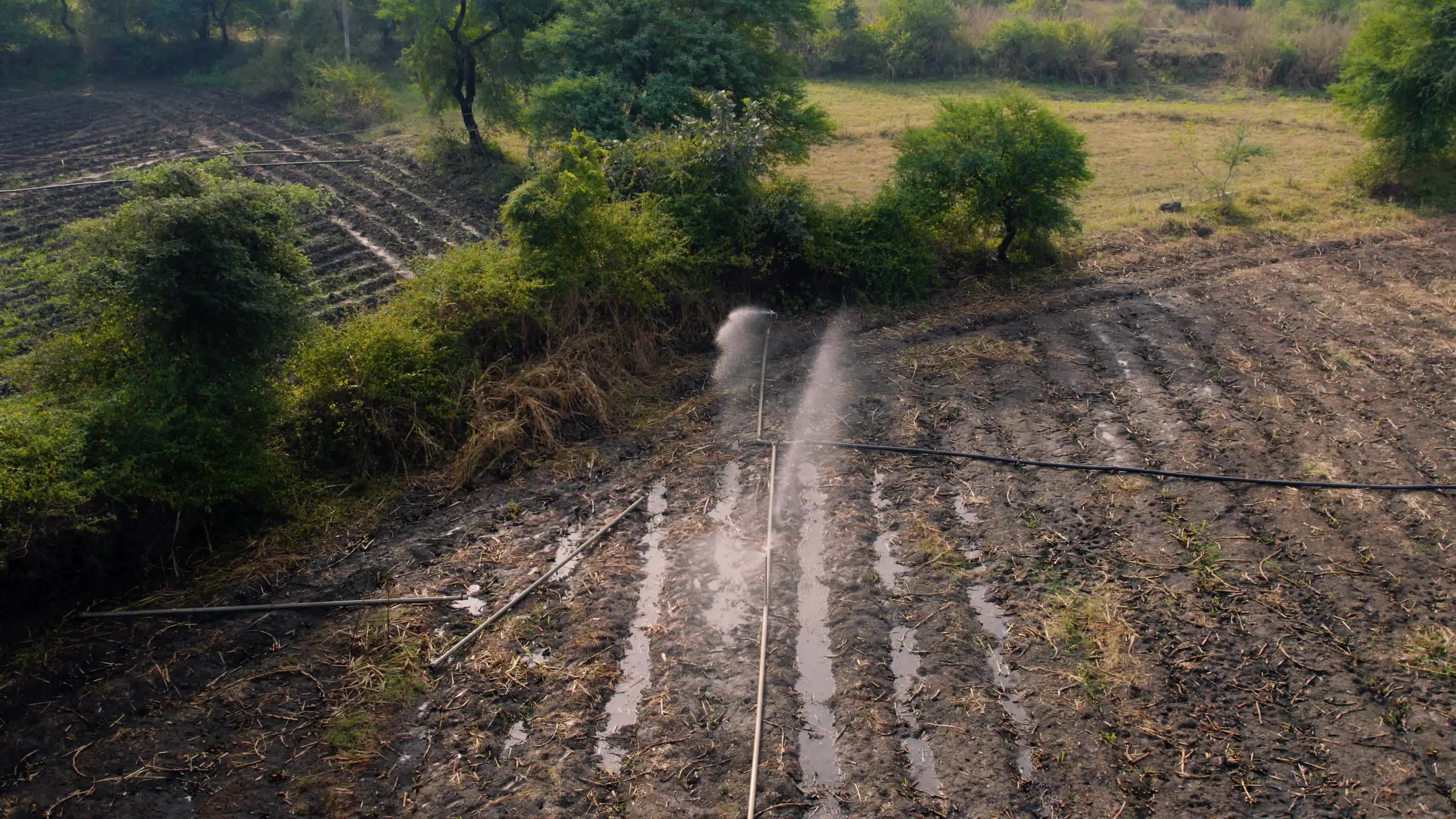 Burnt Farms & Water Sprinklers in the Indian state of Chhattisgarh (Date 12/12/2022)
