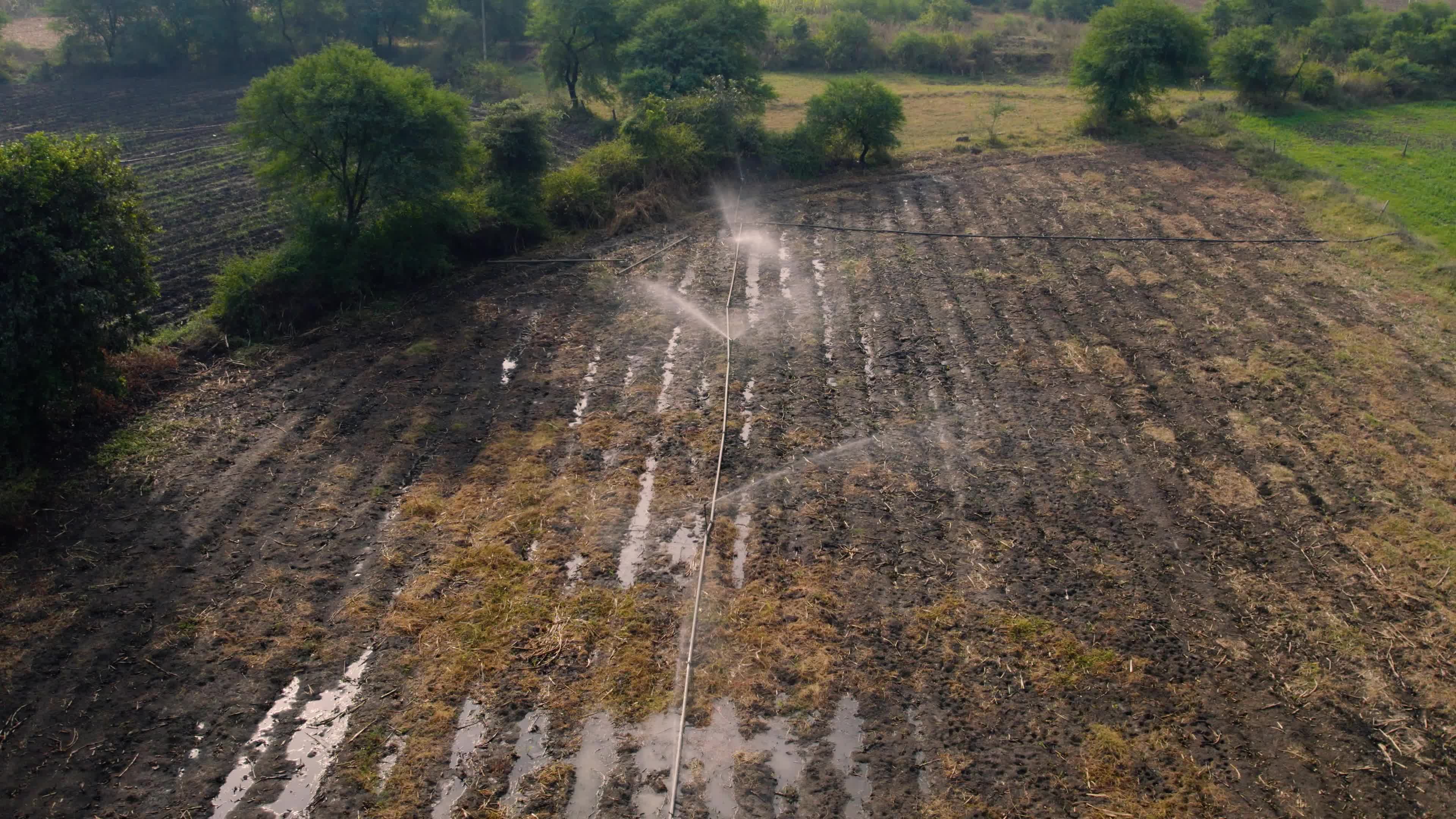 Burnt Farms & Water Sprinklers in the Indian state of Chhattisgarh (Date 12/12/2022)