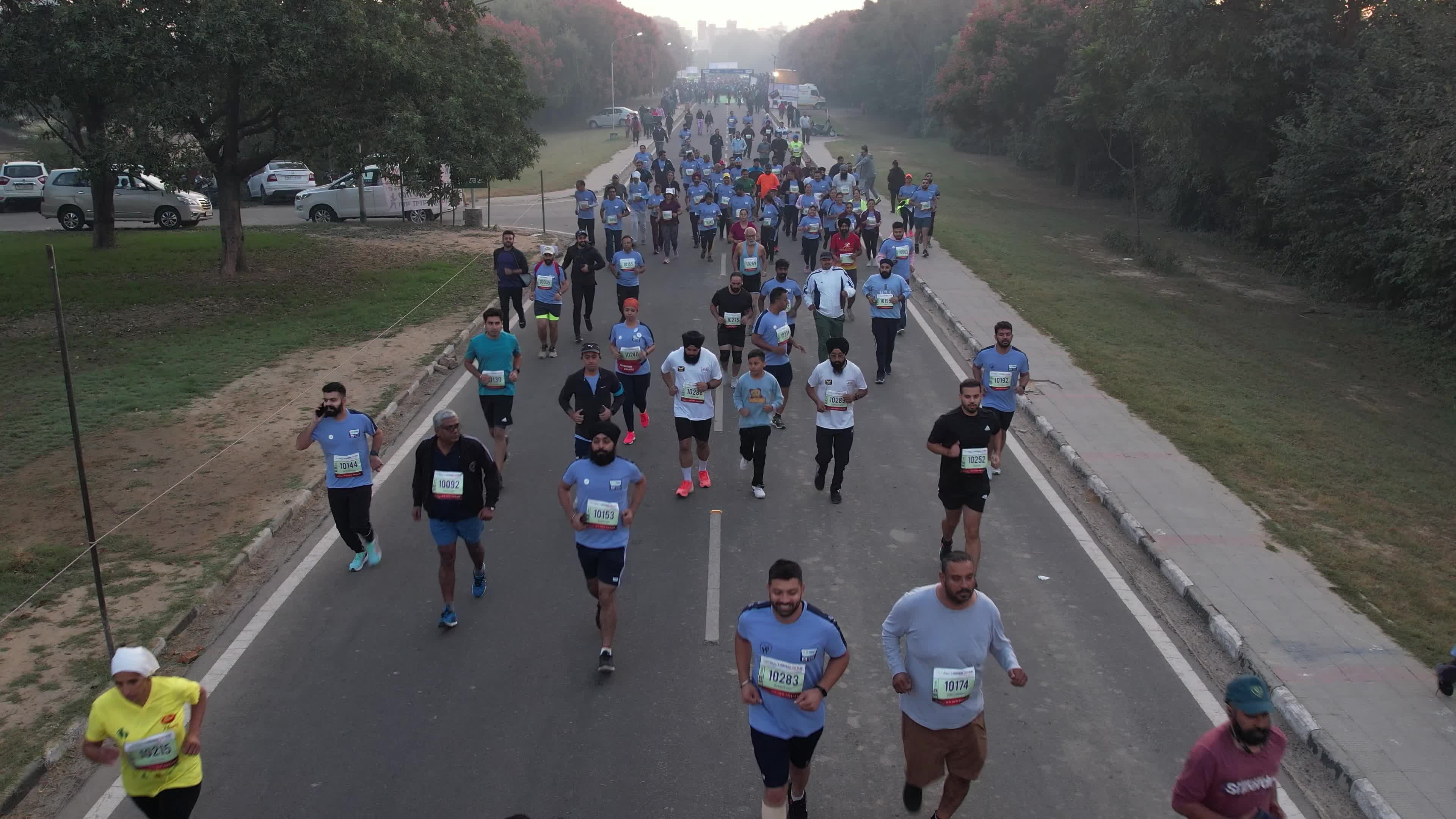 Marathon Madness in Ludhiana: 4K Drone Video of Runners on Tree-lined Streets