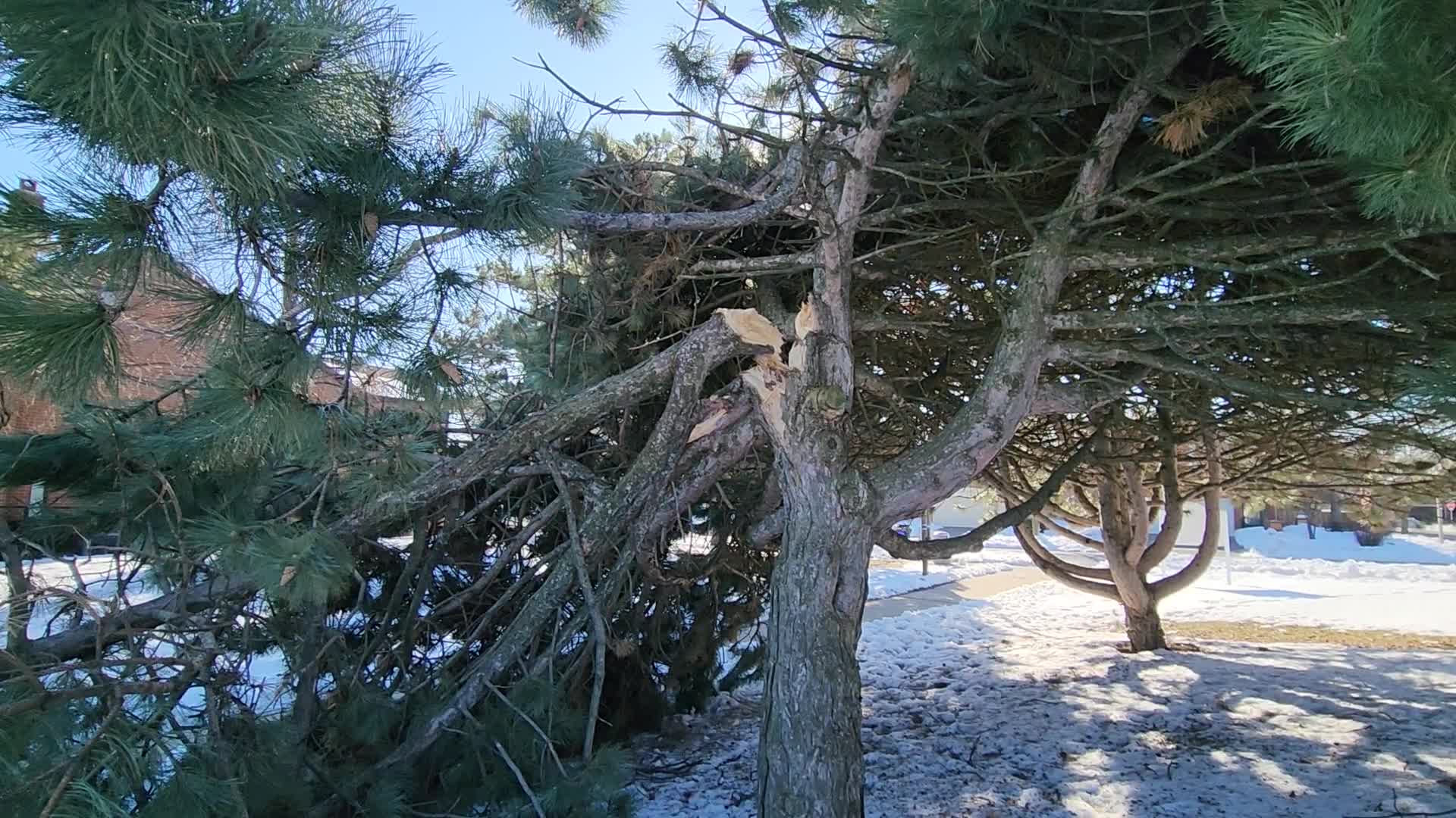 Strong winds cause damage in Toronto