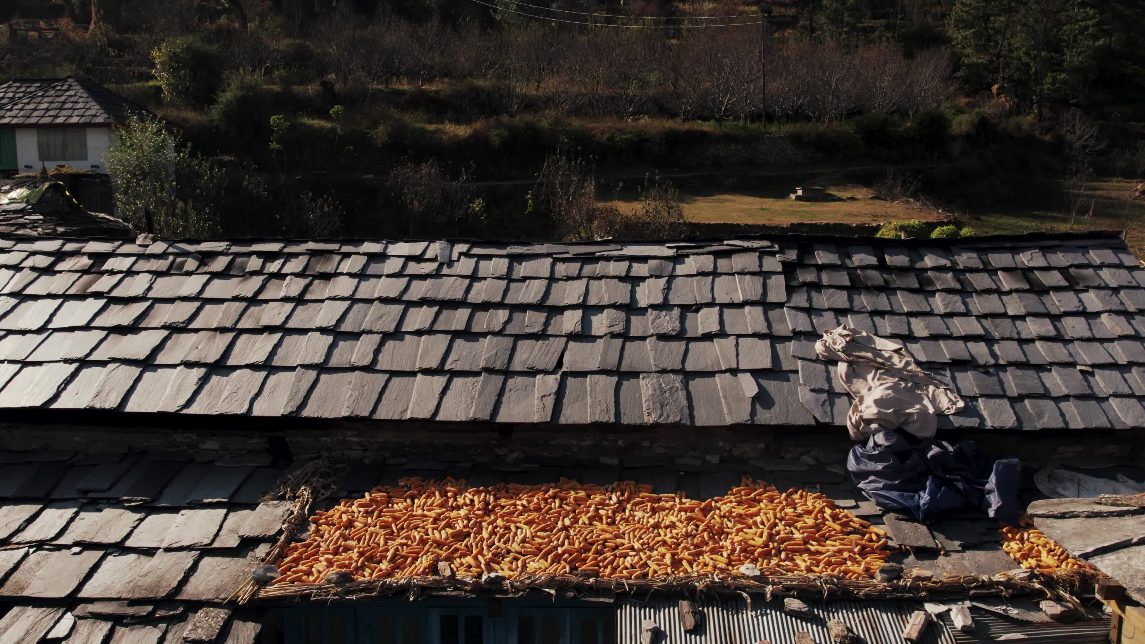 Remote Himalayan Village - Behlo: 4K video which gives a Rare Glimpse into the Simple Life of the Himalayan Village with Traditional Houses 