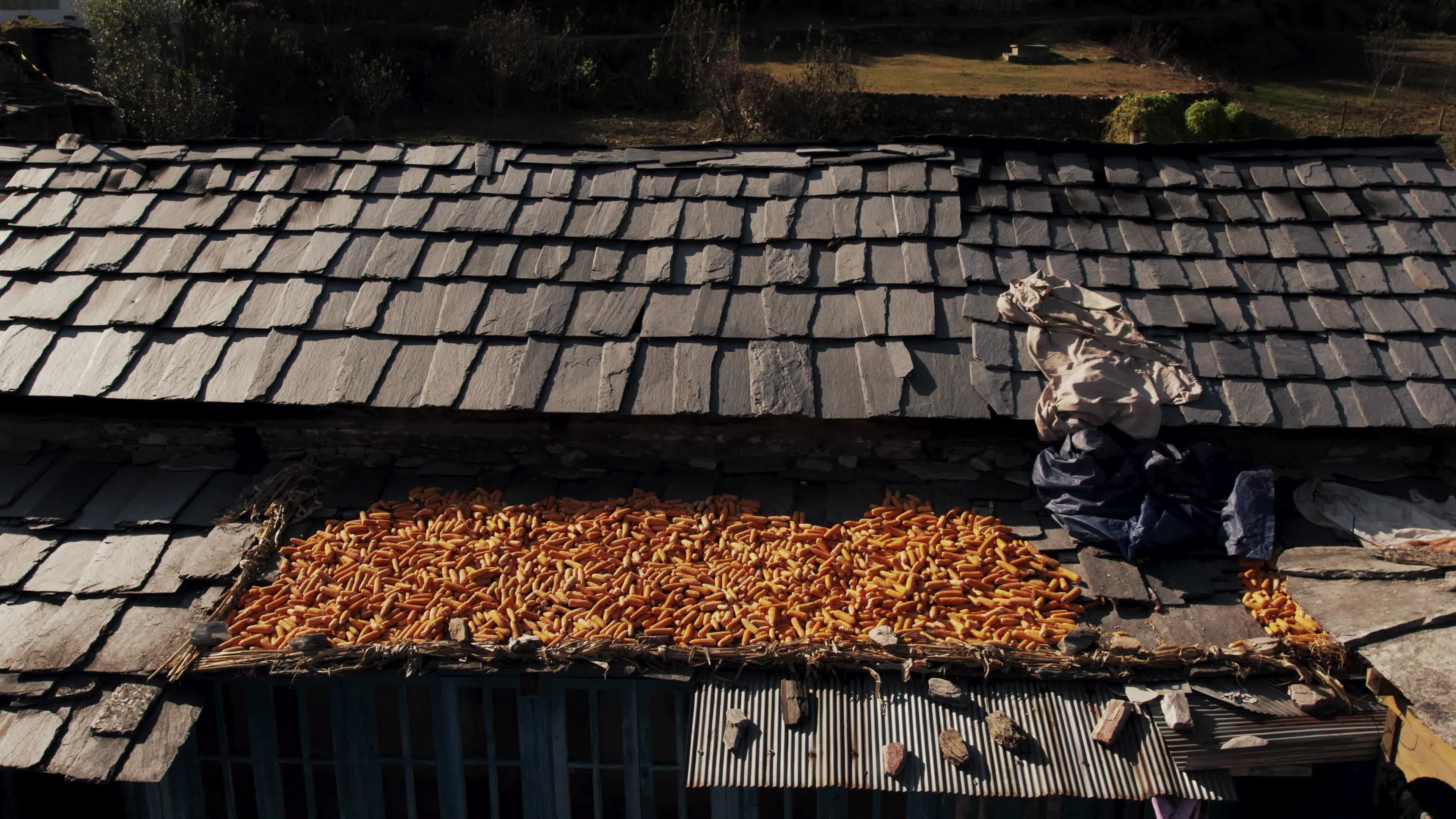 Remote Himalayan Village - Behlo: 4K video which gives a Rare Glimpse into the Simple Life of the Himalayan Village with Traditional Houses 