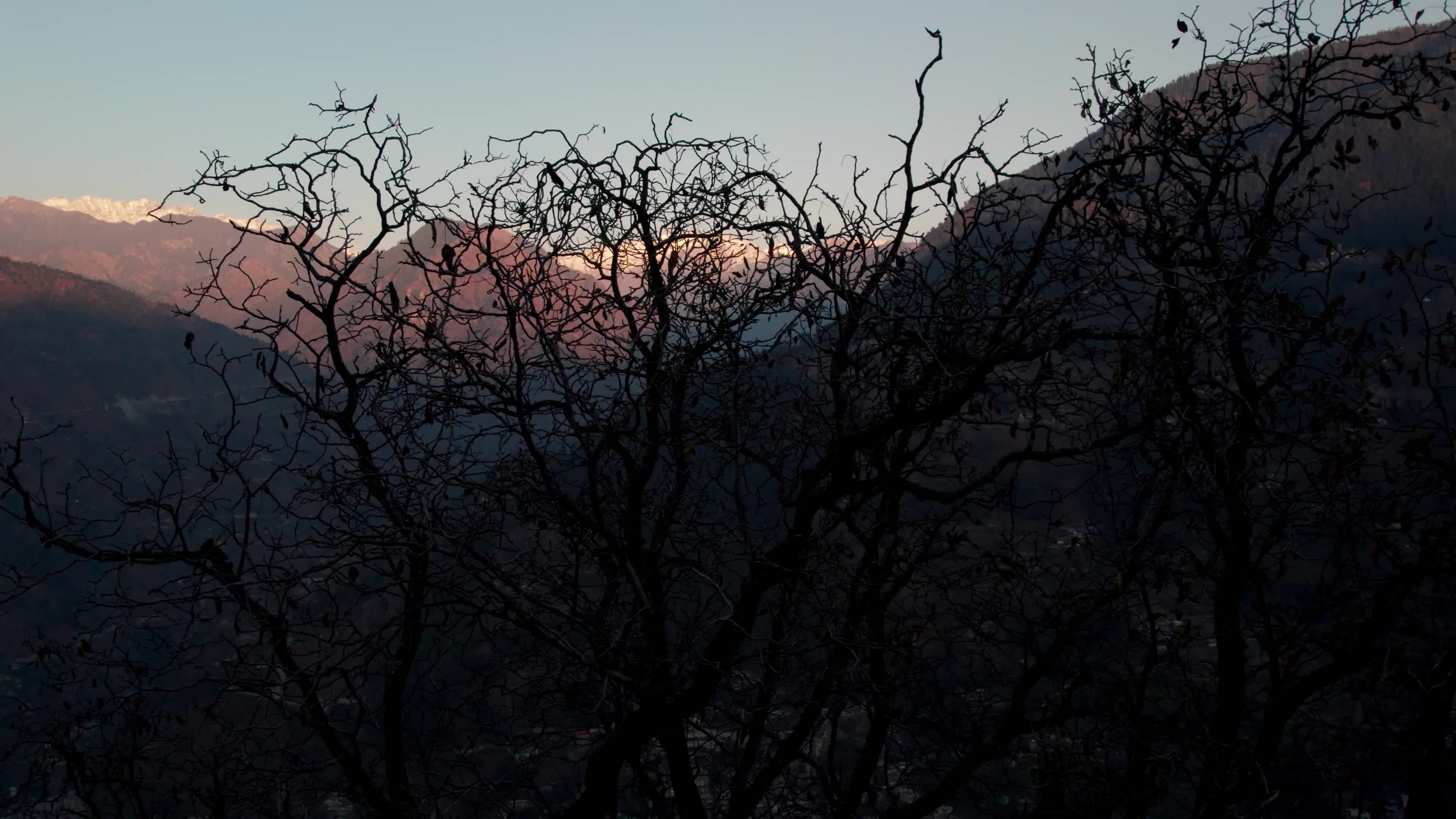 Aerial 4K Drone Footage of Breathtaking Sunset in Himachal Pradesh - Heaven-Like View of Snowcapped Peaks and Tirthan Valley