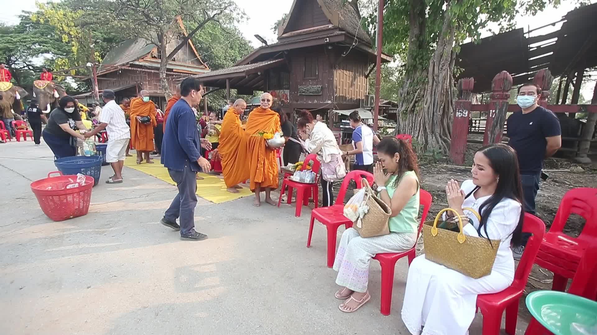 Thailand's national elephant day celebration