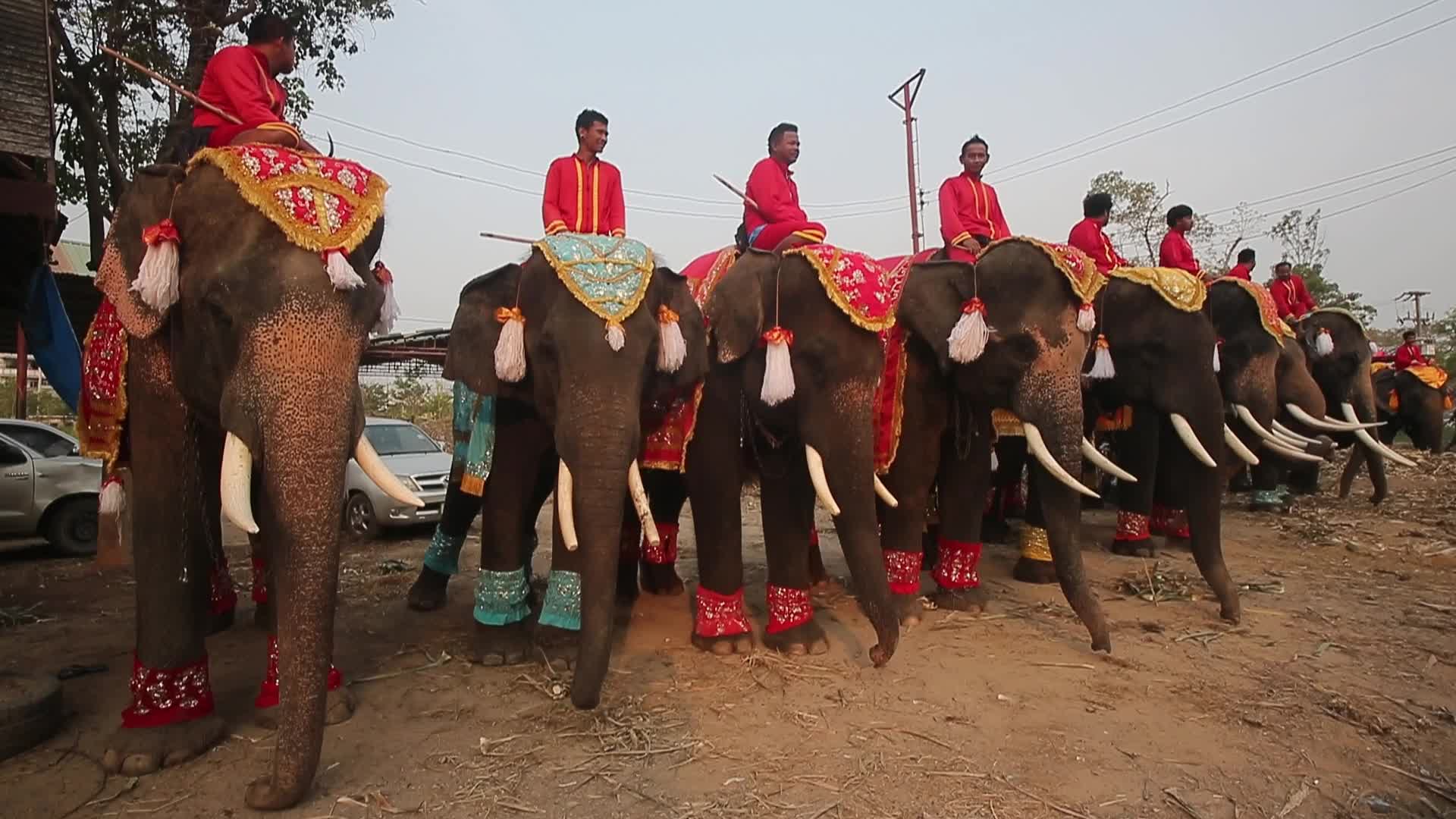 Thailand's national elephant day celebration