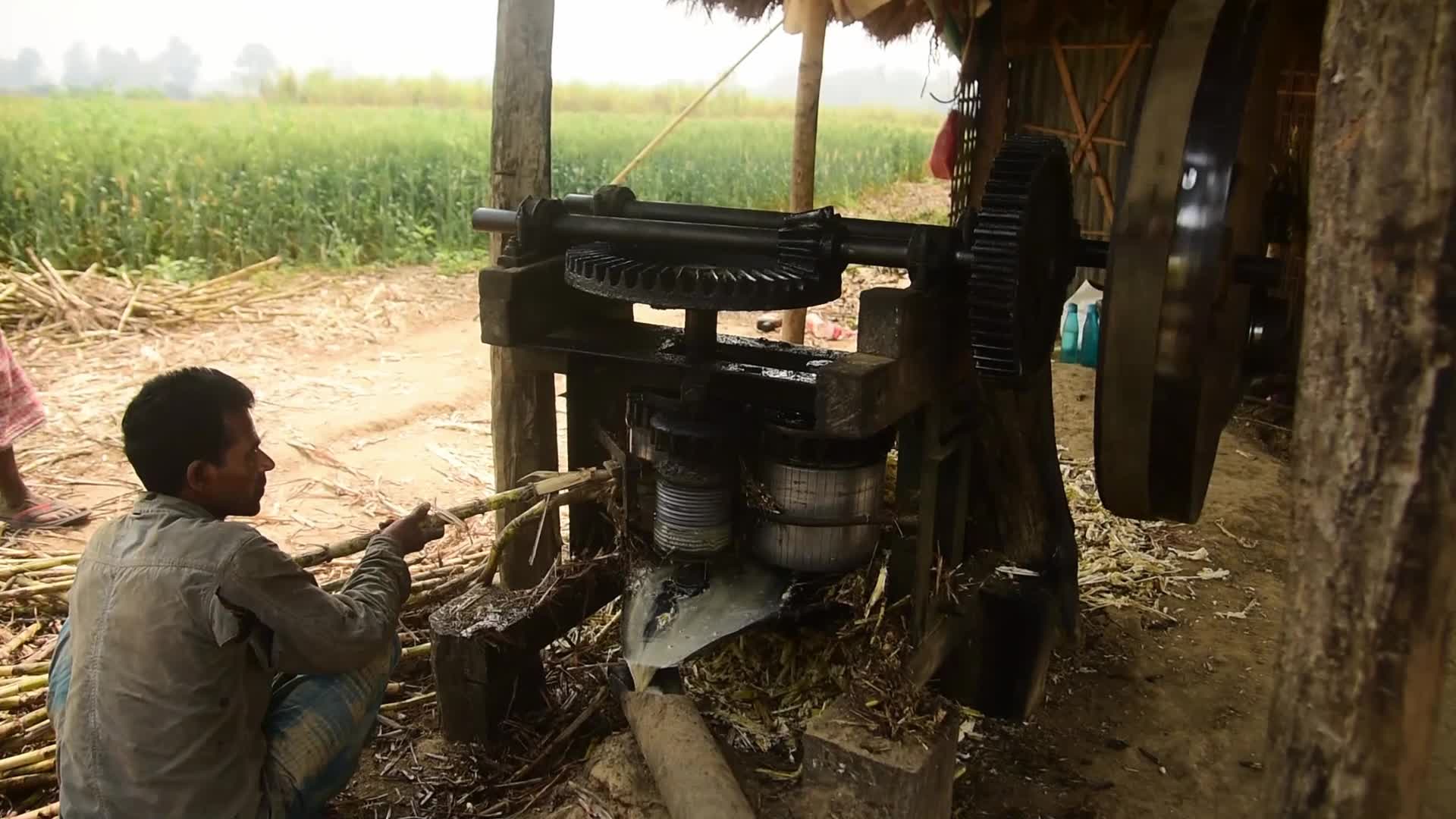 Making of Gur or Jaggery in India 