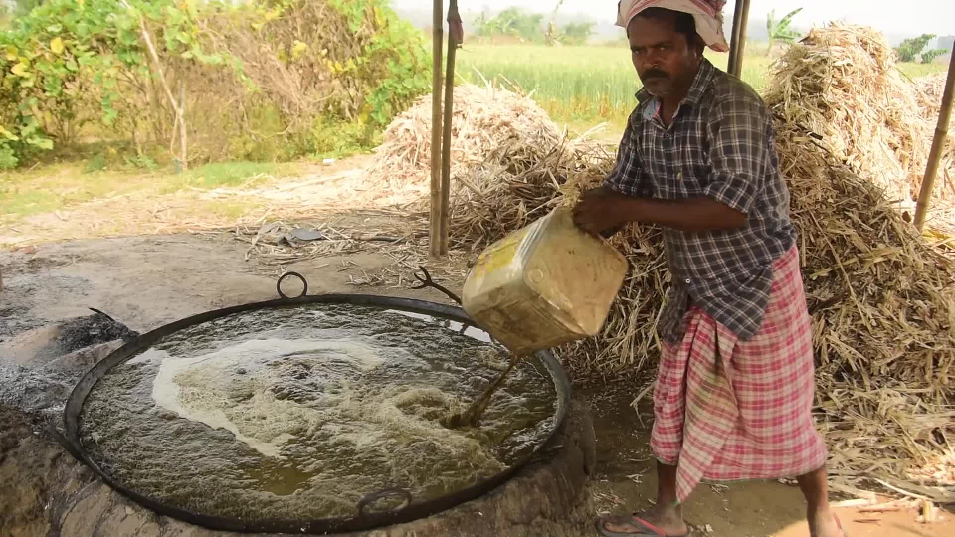 Making of Gur or Jaggery in India 