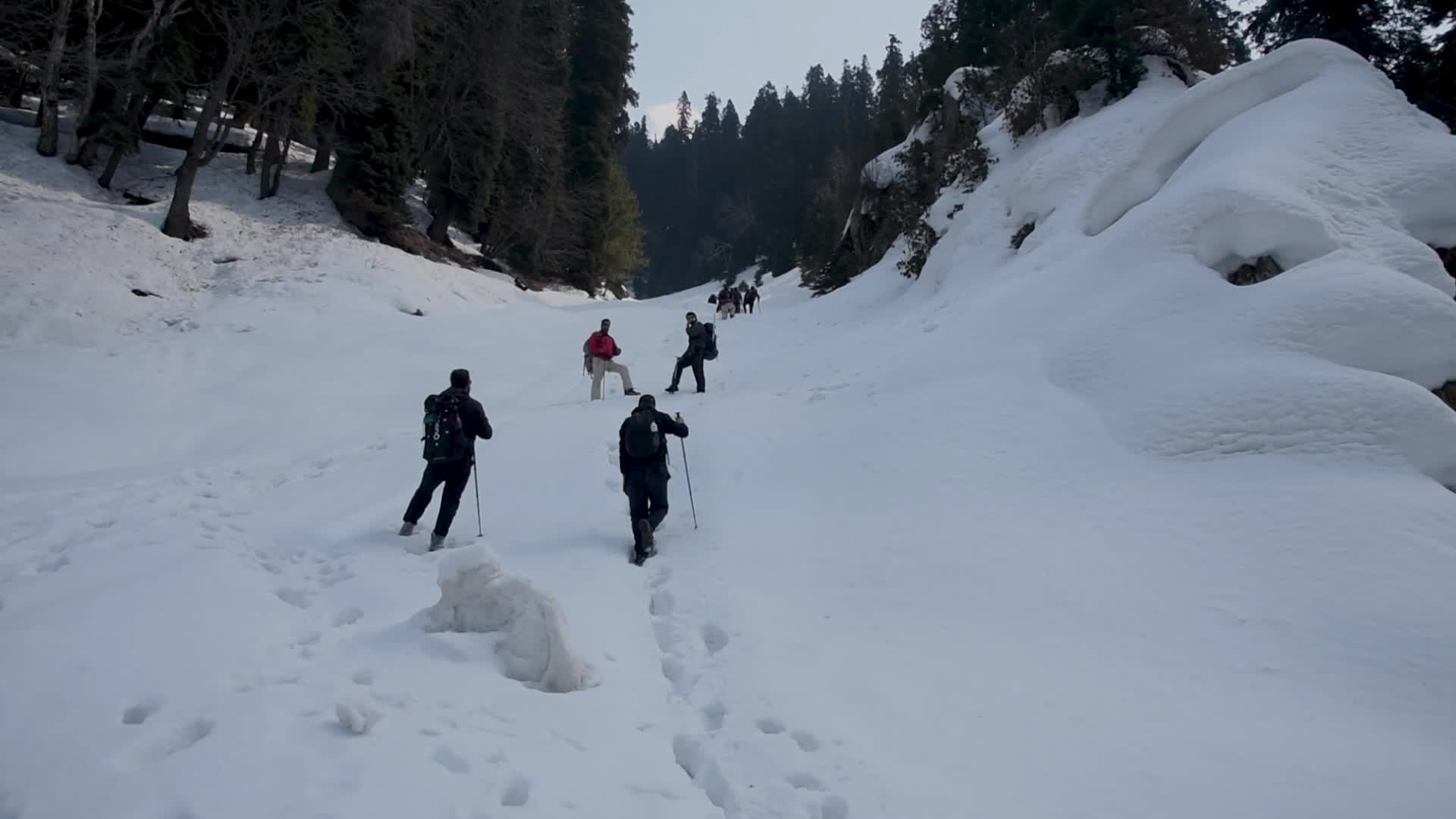 Trekking to Zabarwan Range Kashmir.