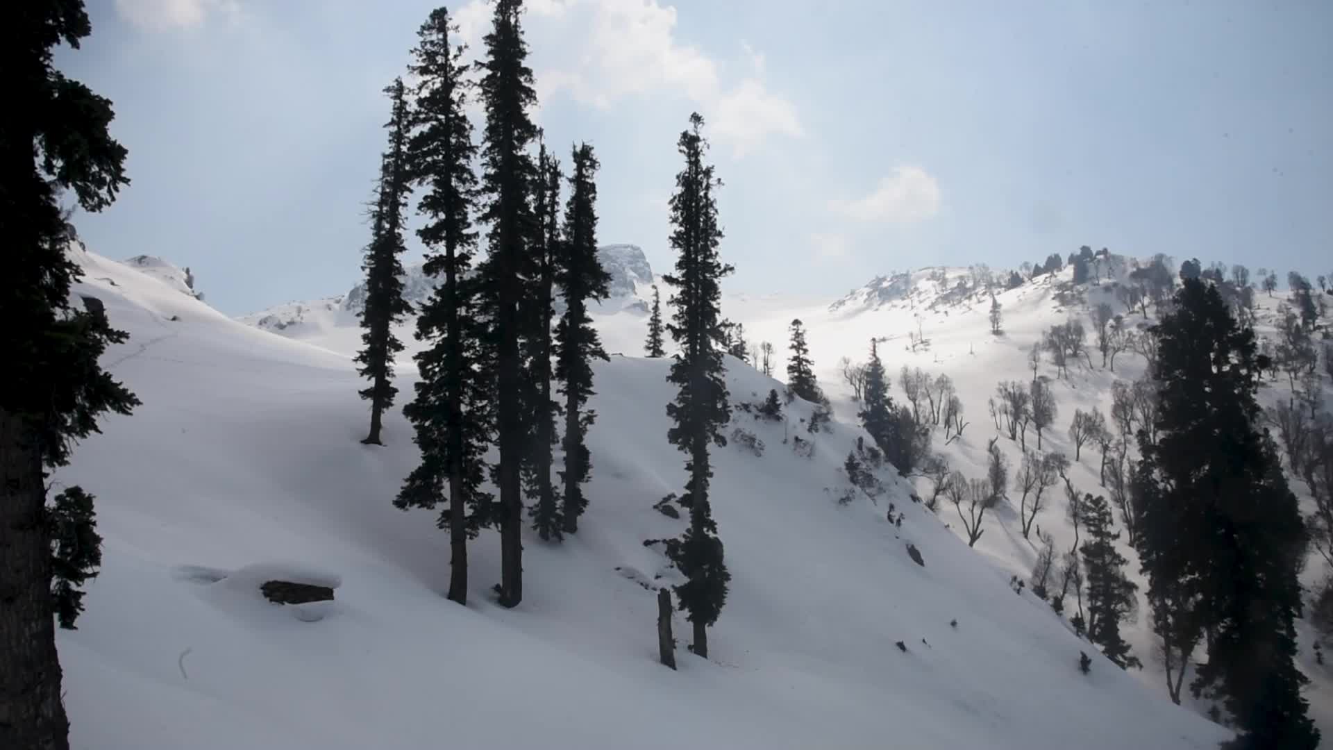 Trekking to Zabarwan Range Kashmir.