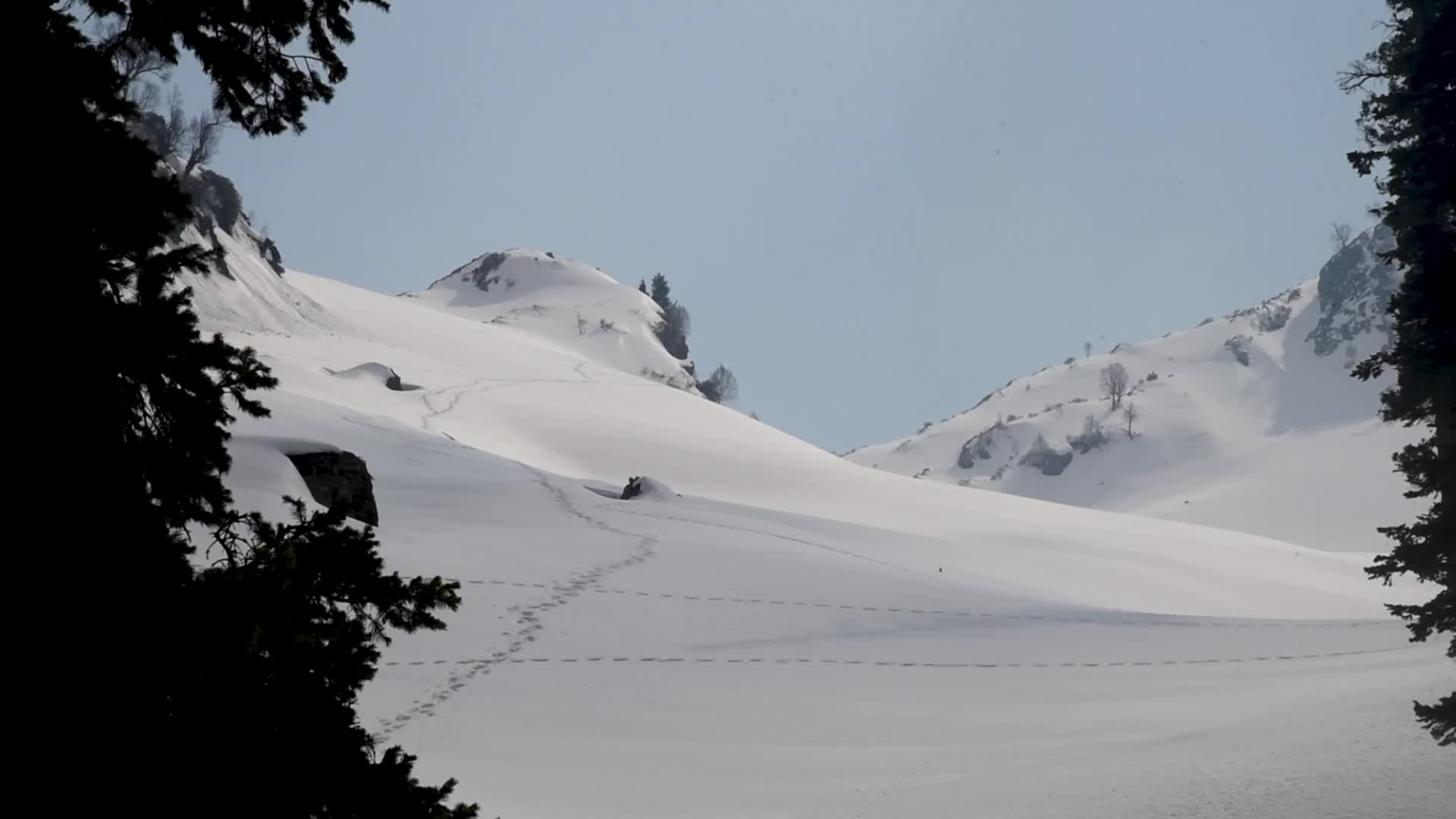 Trekking to Zabarwan Range Kashmir.
