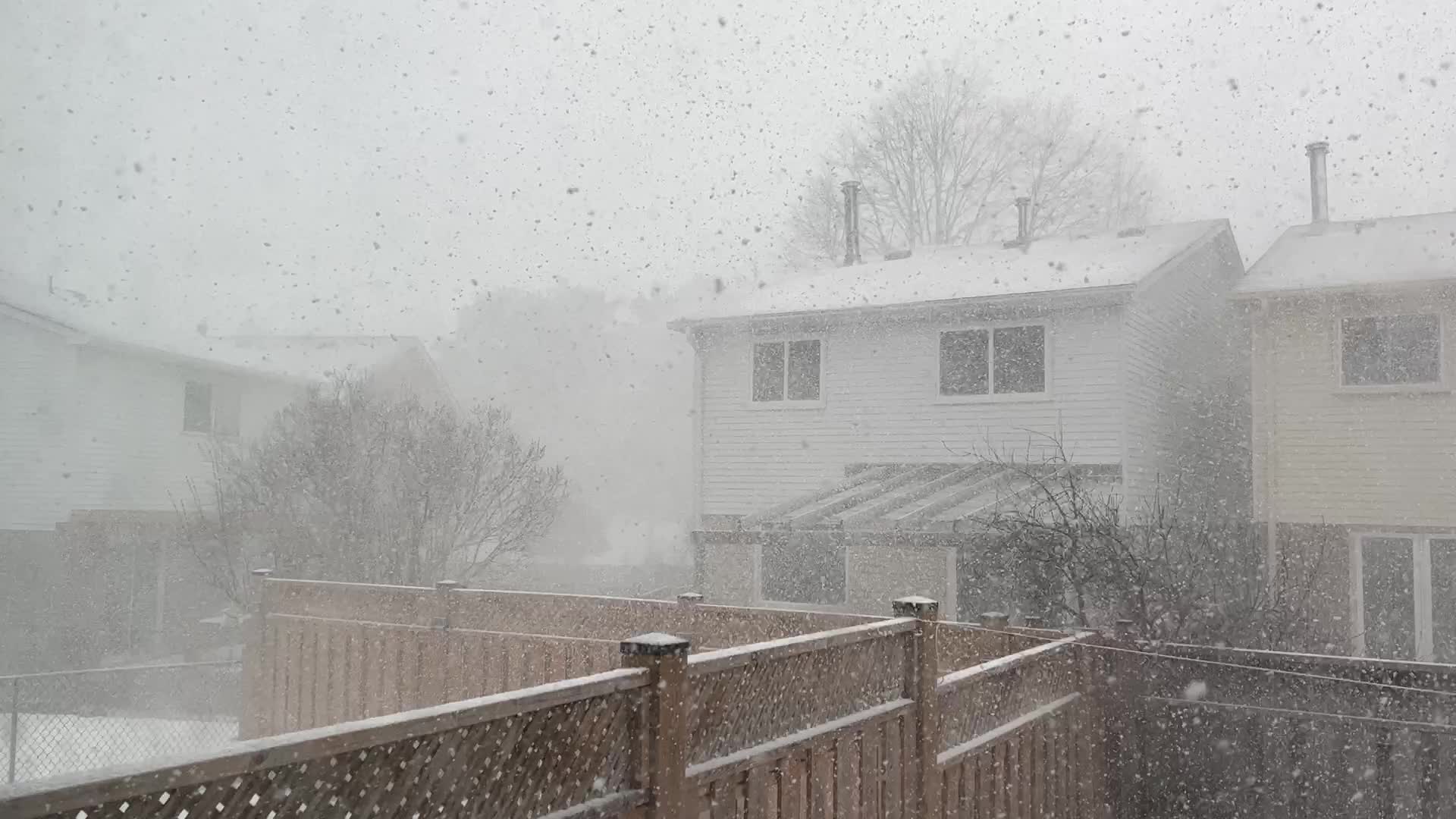 Blizzard hits Toronto 