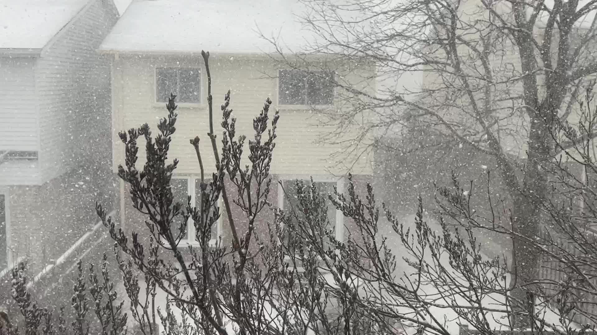 Blizzard hits Toronto 