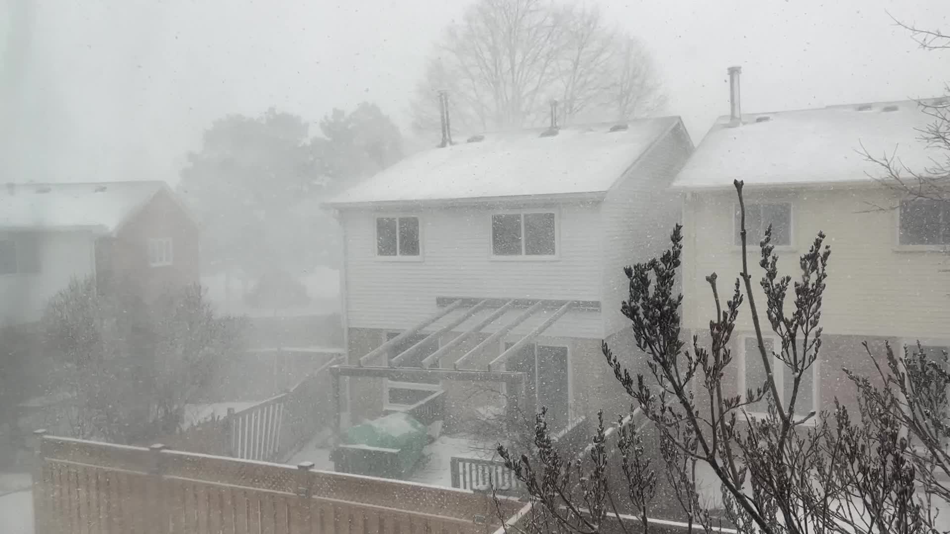 Blizzard hits Toronto 