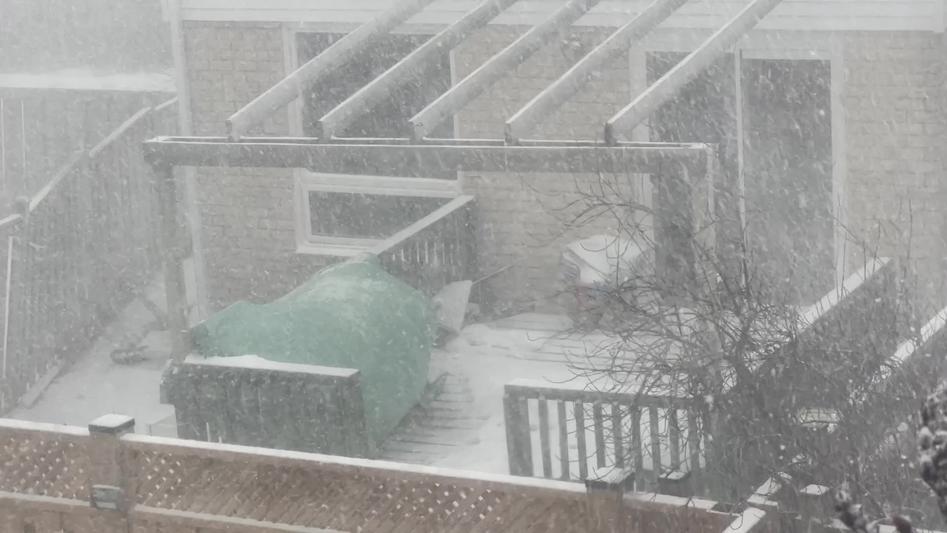 Blizzard hits Toronto 