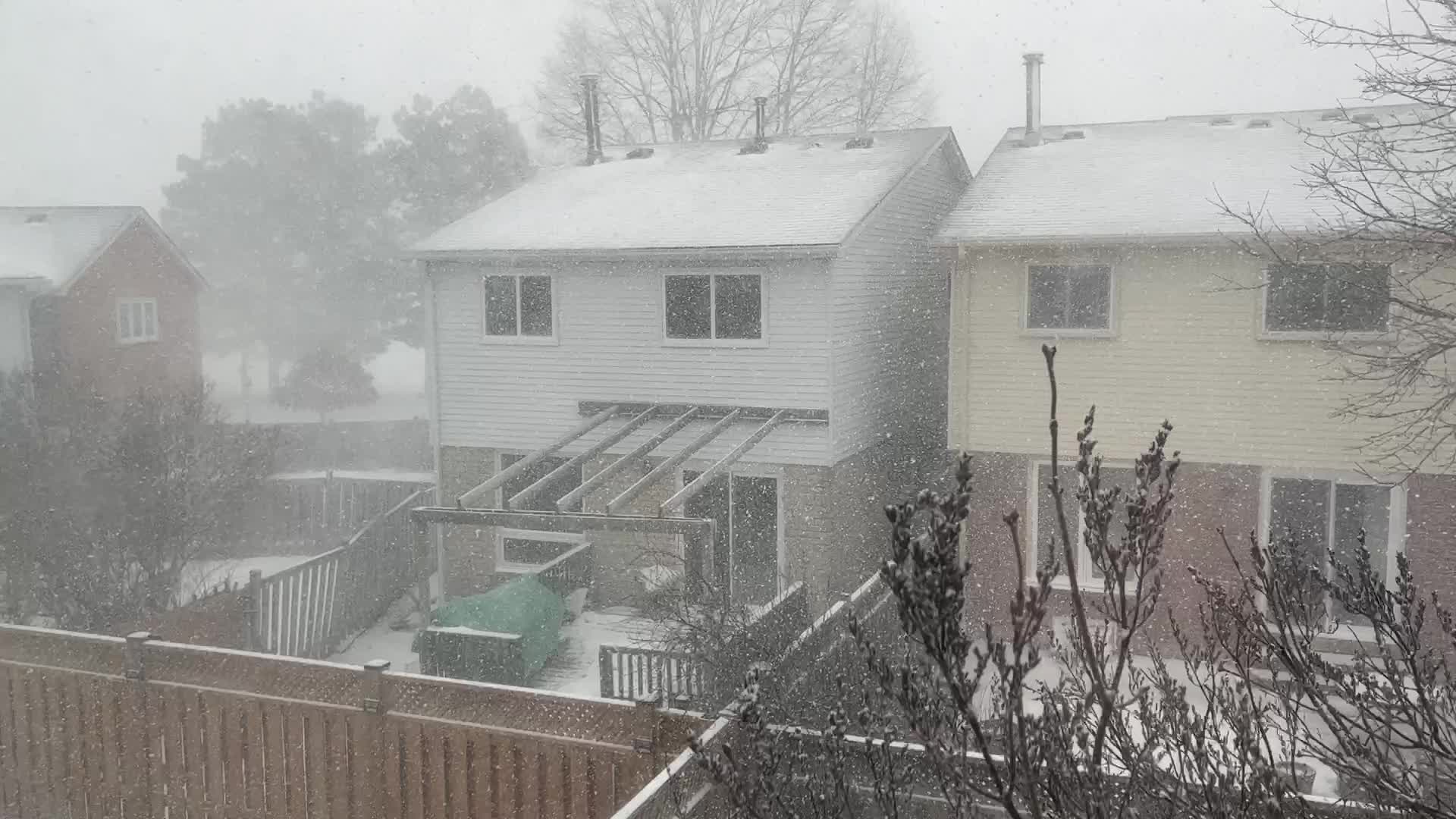 Blizzard hits Toronto 