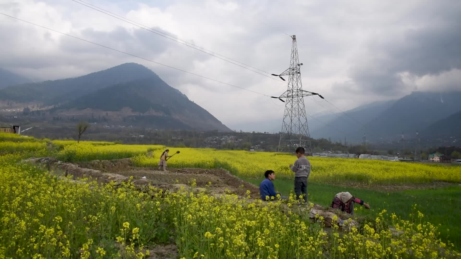 Spring season in Kashmir.