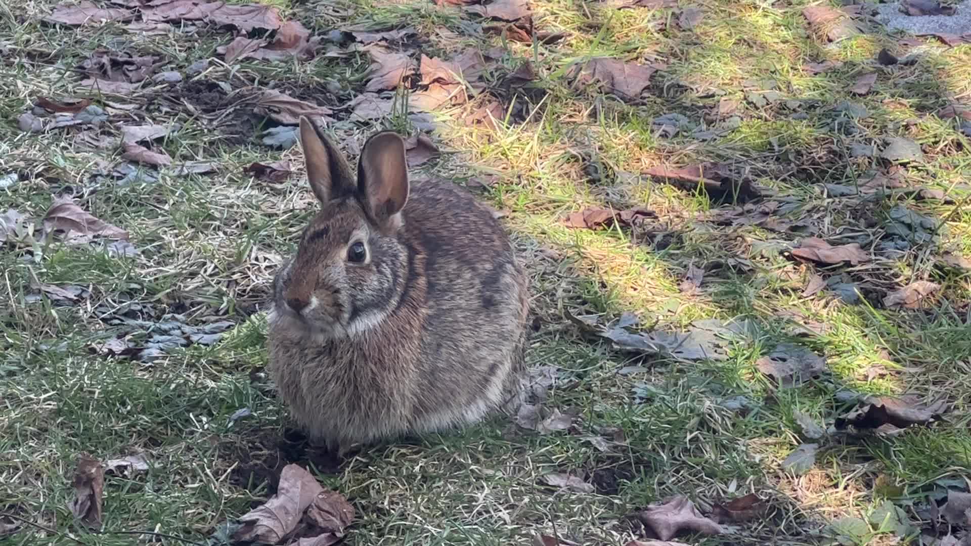 First day of the Spring season in Toronto