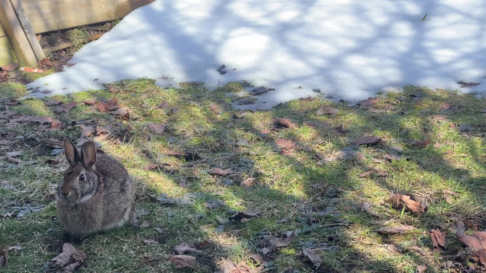 First day of the Spring season in Toronto